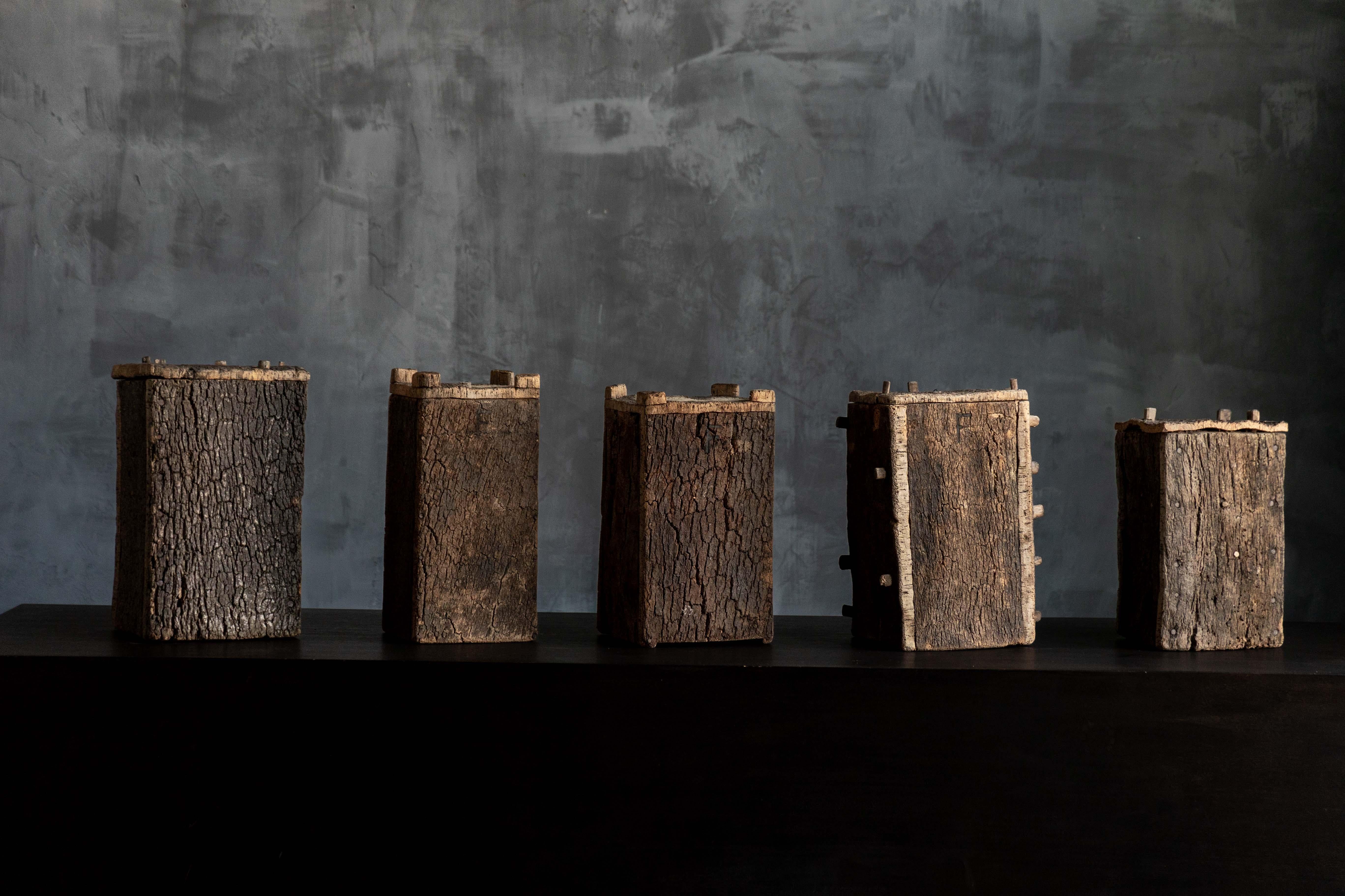 Questi vasi di tronchi artigianali sono ricavati da sezioni solide di tronchi d'albero, con la corteccia lasciata intatta per preservarne la consistenza grezza e naturale. Originariamente utilizzati nell'apicoltura tradizionale, la loro forma pulita