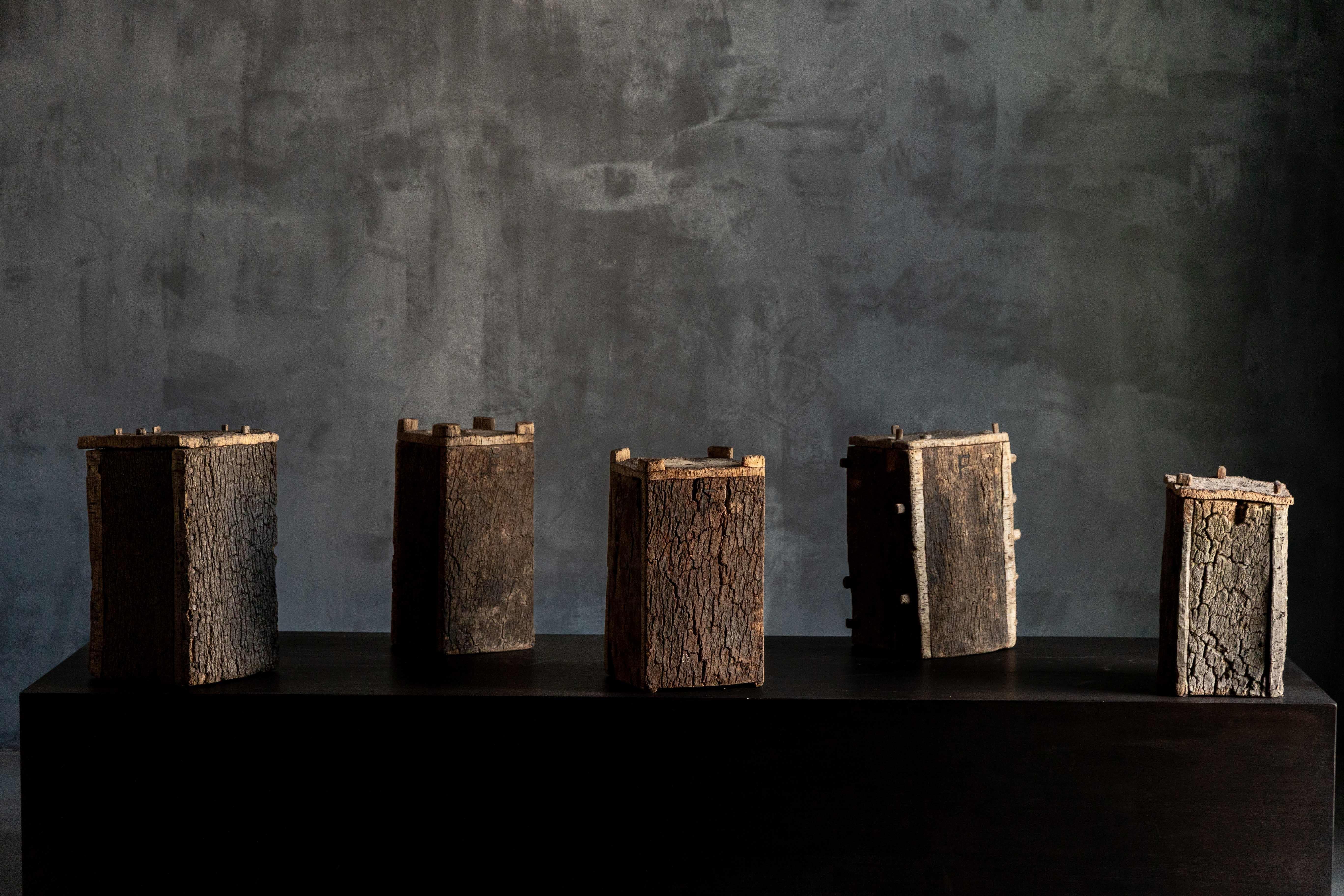 Primitivo Alveari di tronchi vernacolari Wabi Sabi, Francia, XIX secolo in vendita