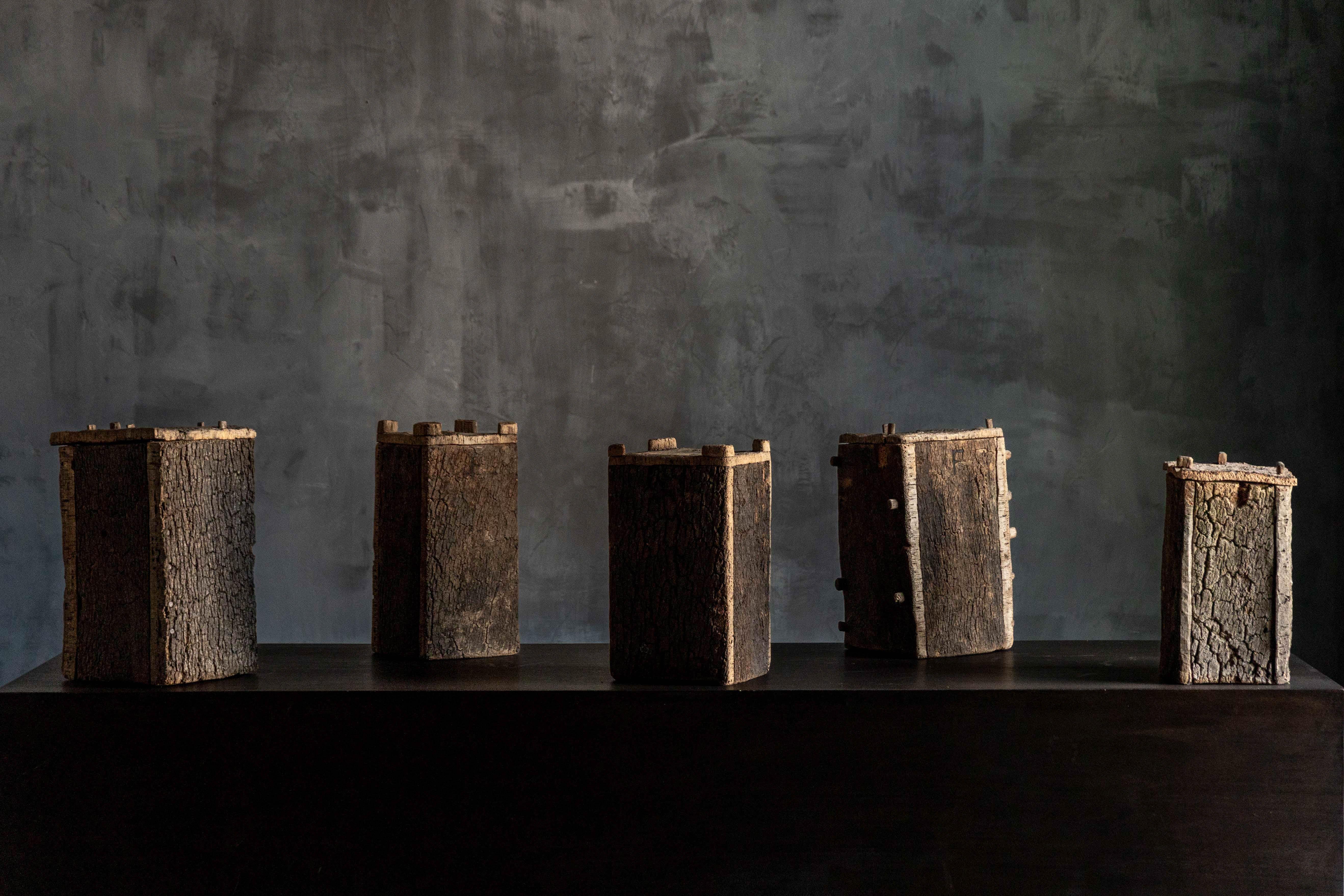Legno Alveari di tronchi vernacolari Wabi Sabi, Francia, XIX secolo in vendita
