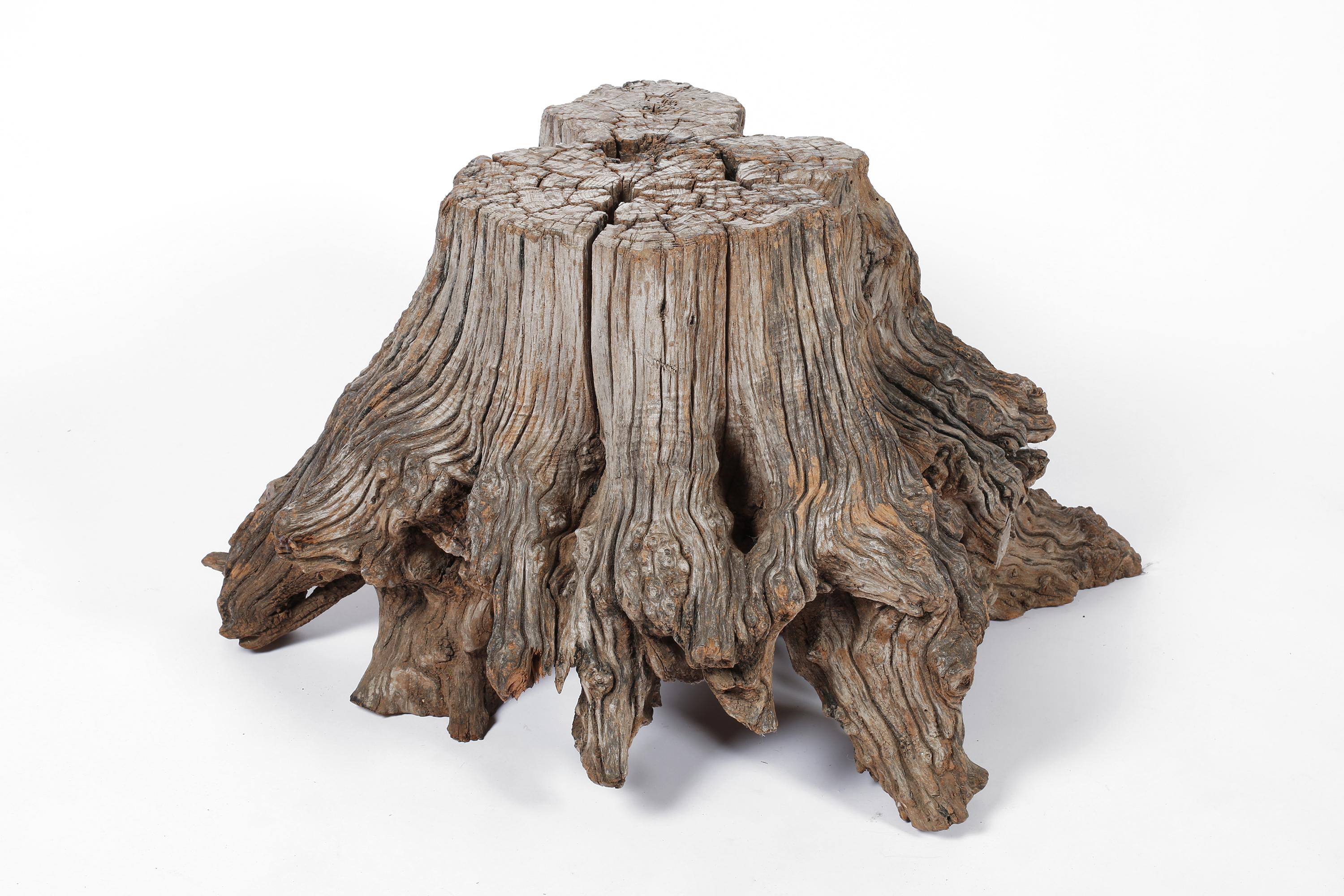 A statement side table formed from the foot of an ancient elm tree. Heavily weathered and almost petrified with a beautiful silvered patina. Chinese, c. 19th century.