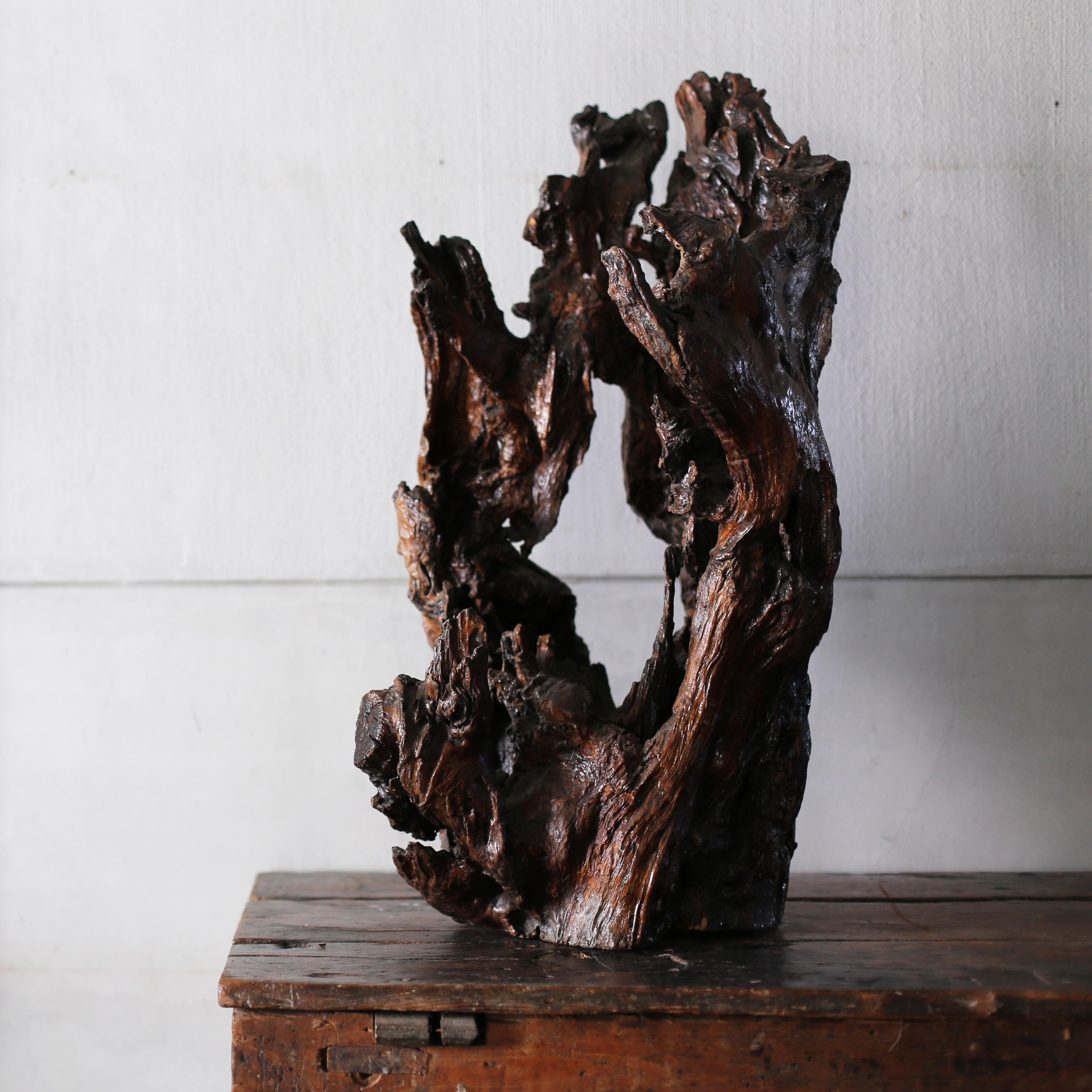 This is a tree root, a natural wood object.
We Japanese have a culture of displaying natural wood for ornamental purposes since ancient times.
This natural wood object is old and magnificent.
Even today, beautiful old natural wood objects are highly