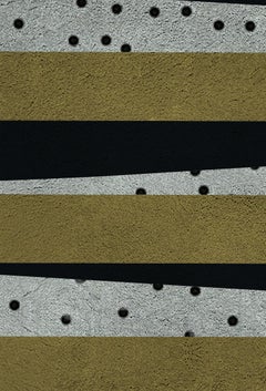 Waizen Black & Gold Area Rug in Hand-Tufted Wool & Botanical Silk