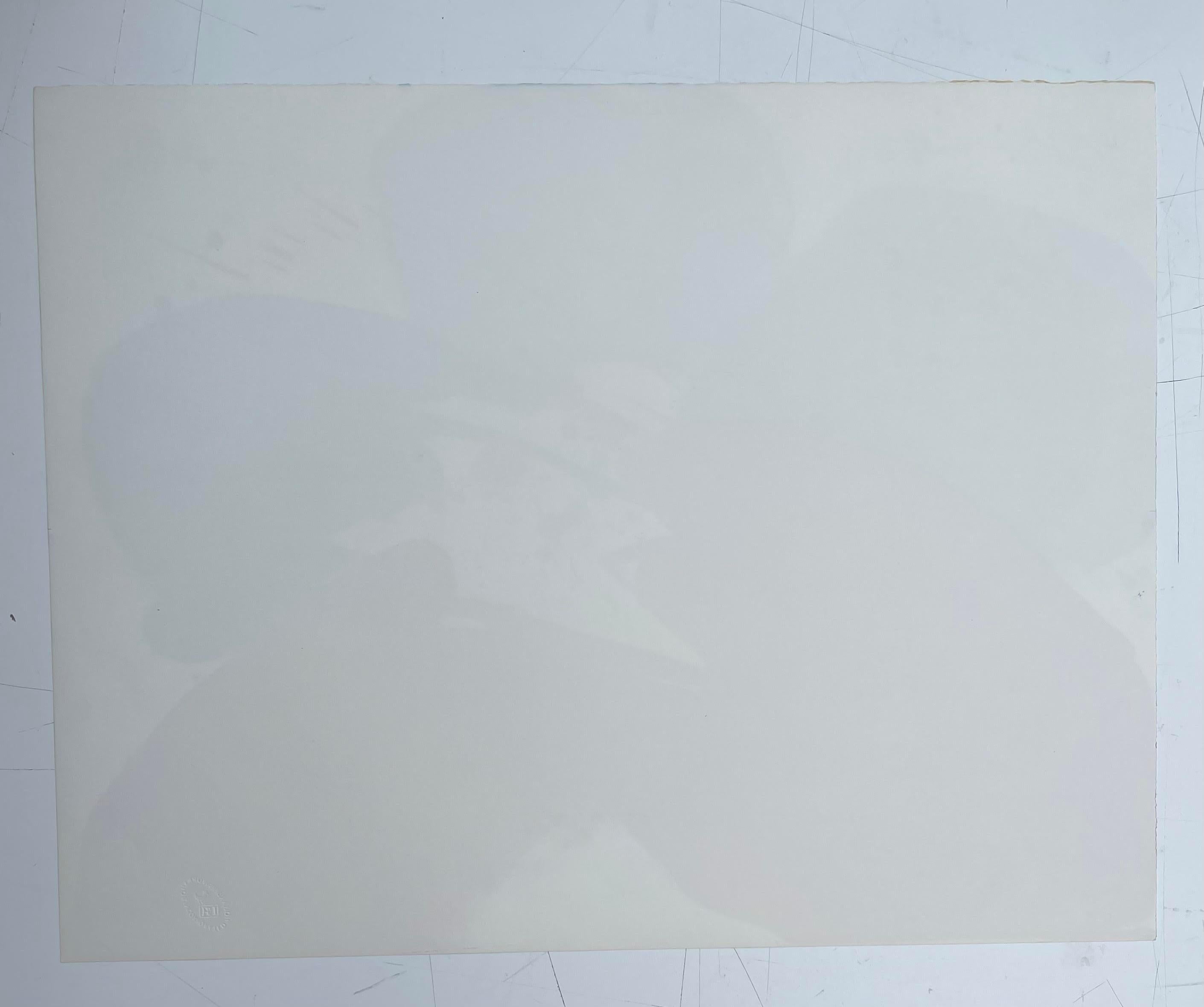 Rare Abstract Expressionist flower lithograph, 1969 Top Chinese-US artist Signed For Sale 1