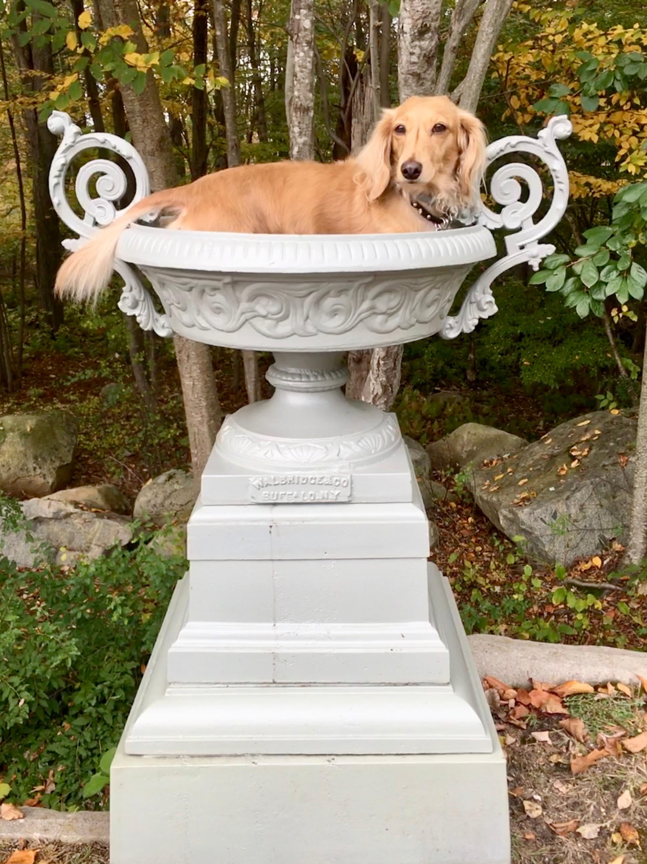 Walbridge & Co. of Buffalo Cast Iron Fountain Urn 9