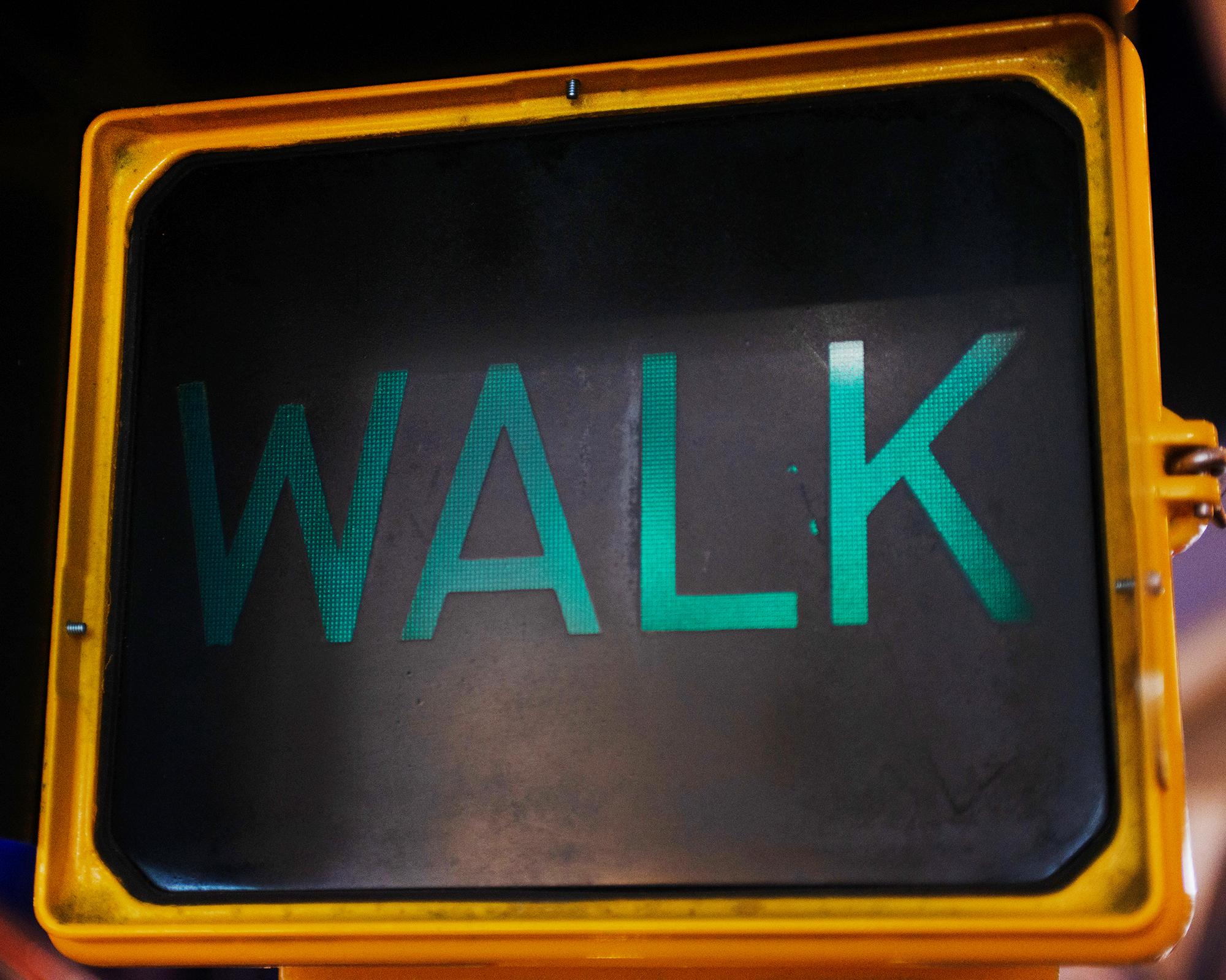 Walk, Don't Walk Traffic Light 2