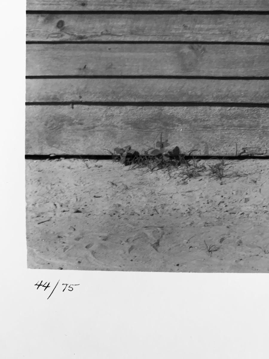 Alabama, ikonische Schwarz-Weiß-Porträtfotografie, Familie Burroughs (Zeitgenössisch), Photograph, von Walker Evans