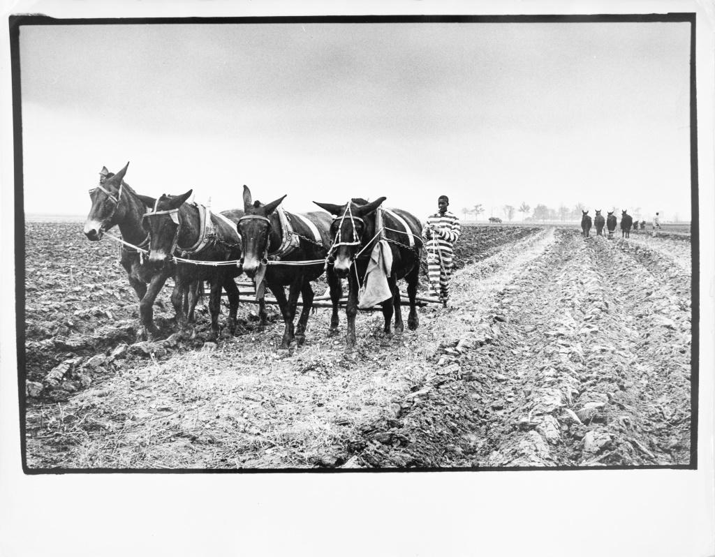 Drei Schwarz-Weiß-Fotografien aus dem ländlichen Amerika, bestehend aus: Walker Evans (Amerikaner, 1903-1975), 