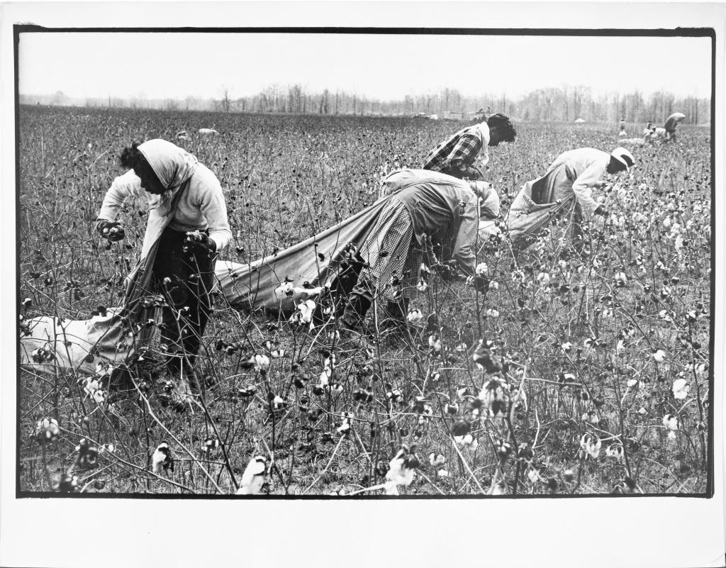 Walker Evans & Martin J. Dale, Fotografien, 3 (Papier) im Angebot