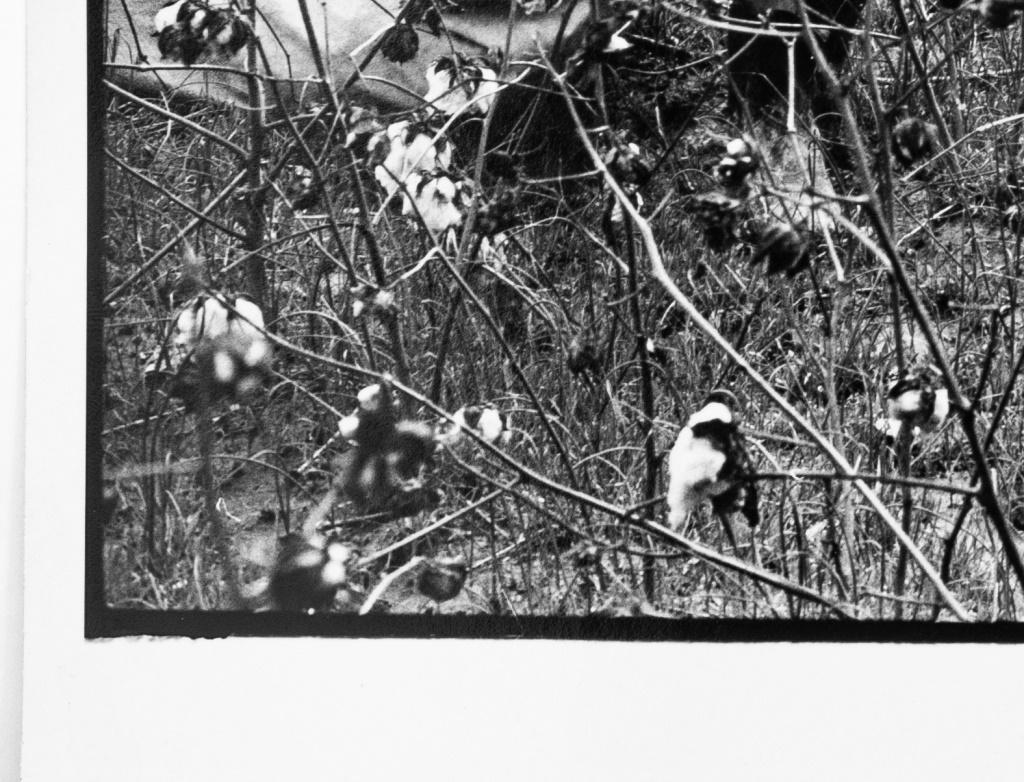 Walker Evans & Martin J. Dale, Fotografien, 3 im Angebot 1
