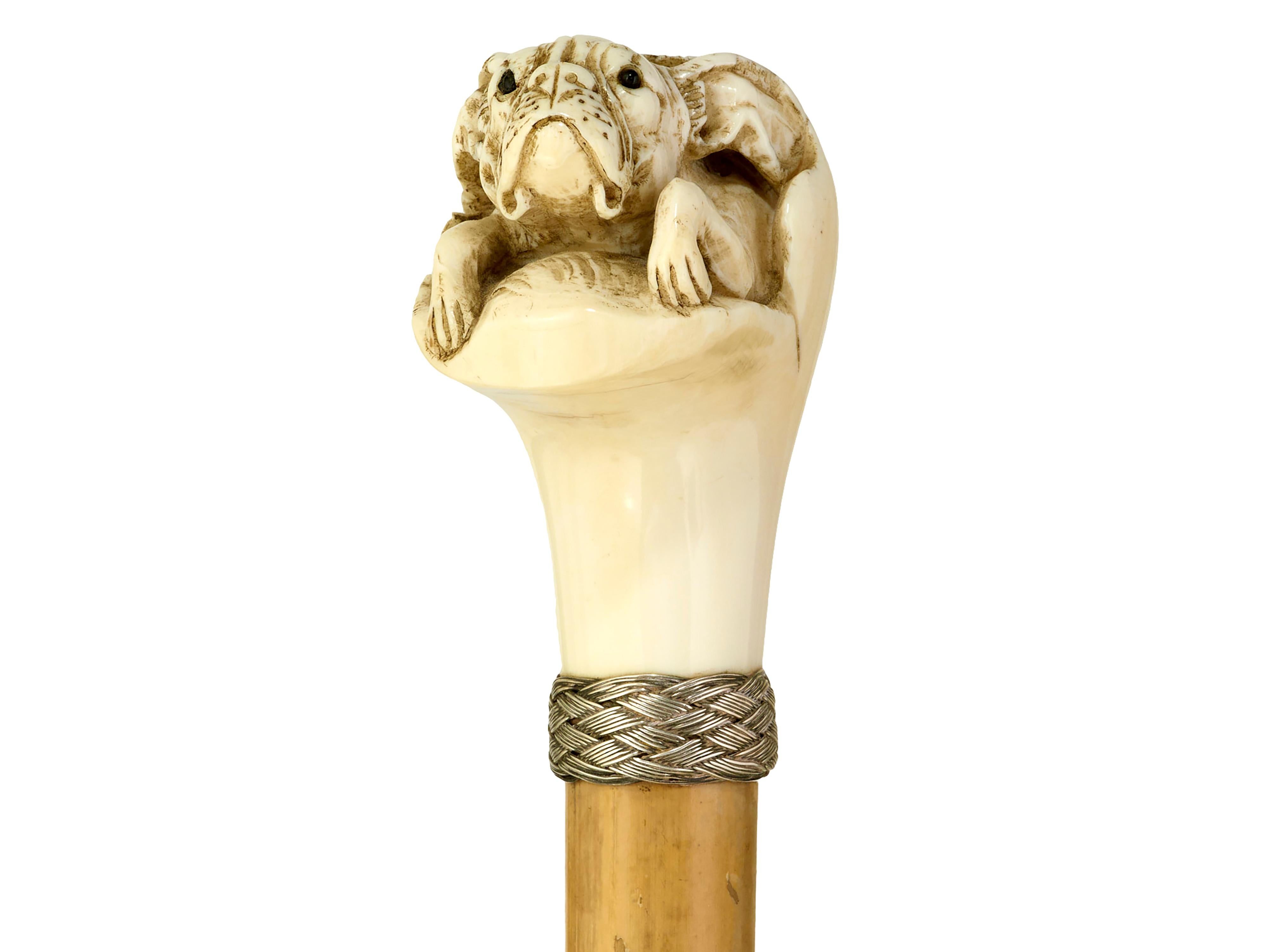European Walking cane with carved French bulldog For Sale
