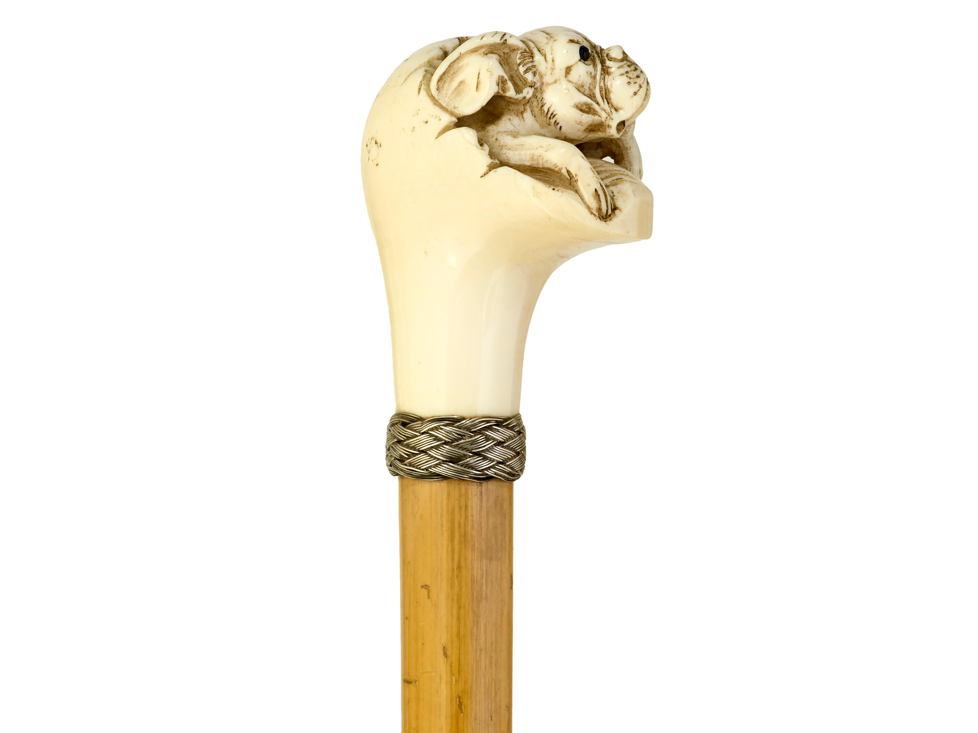 Ivory Walking cane with carved French bulldog For Sale