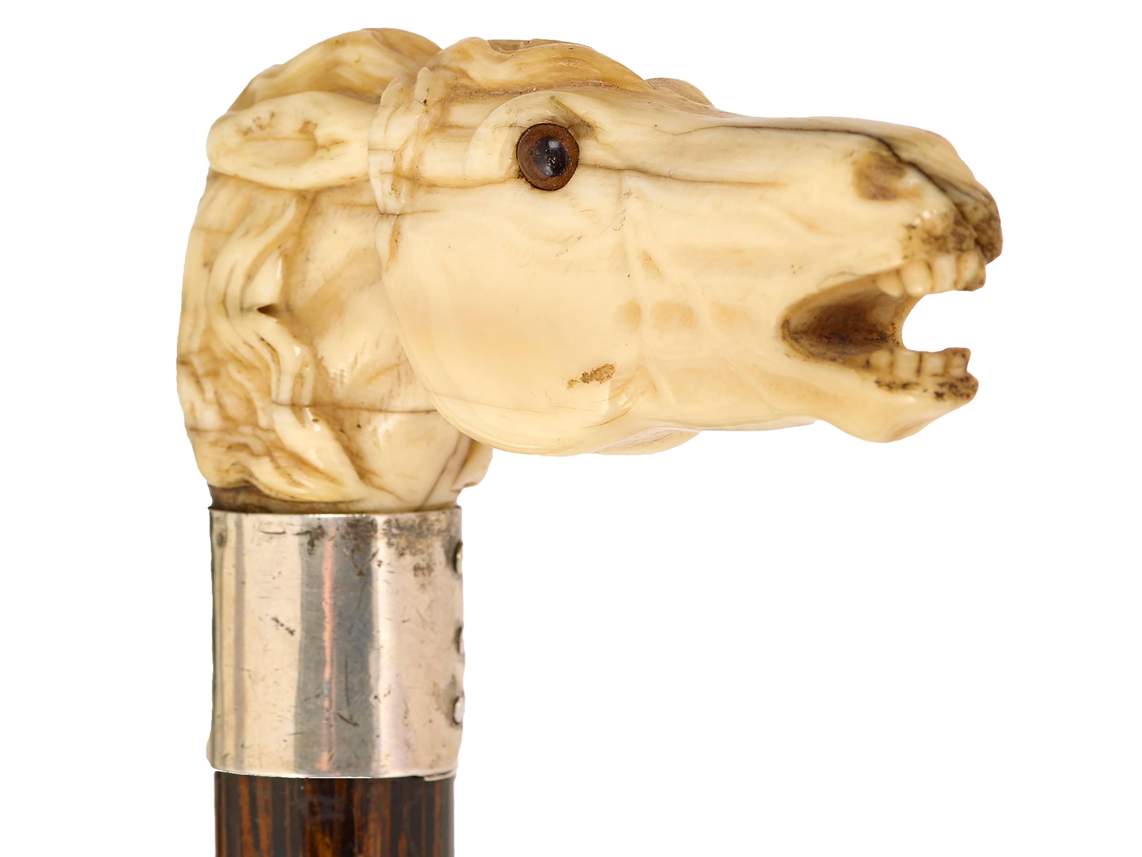 horse head cane