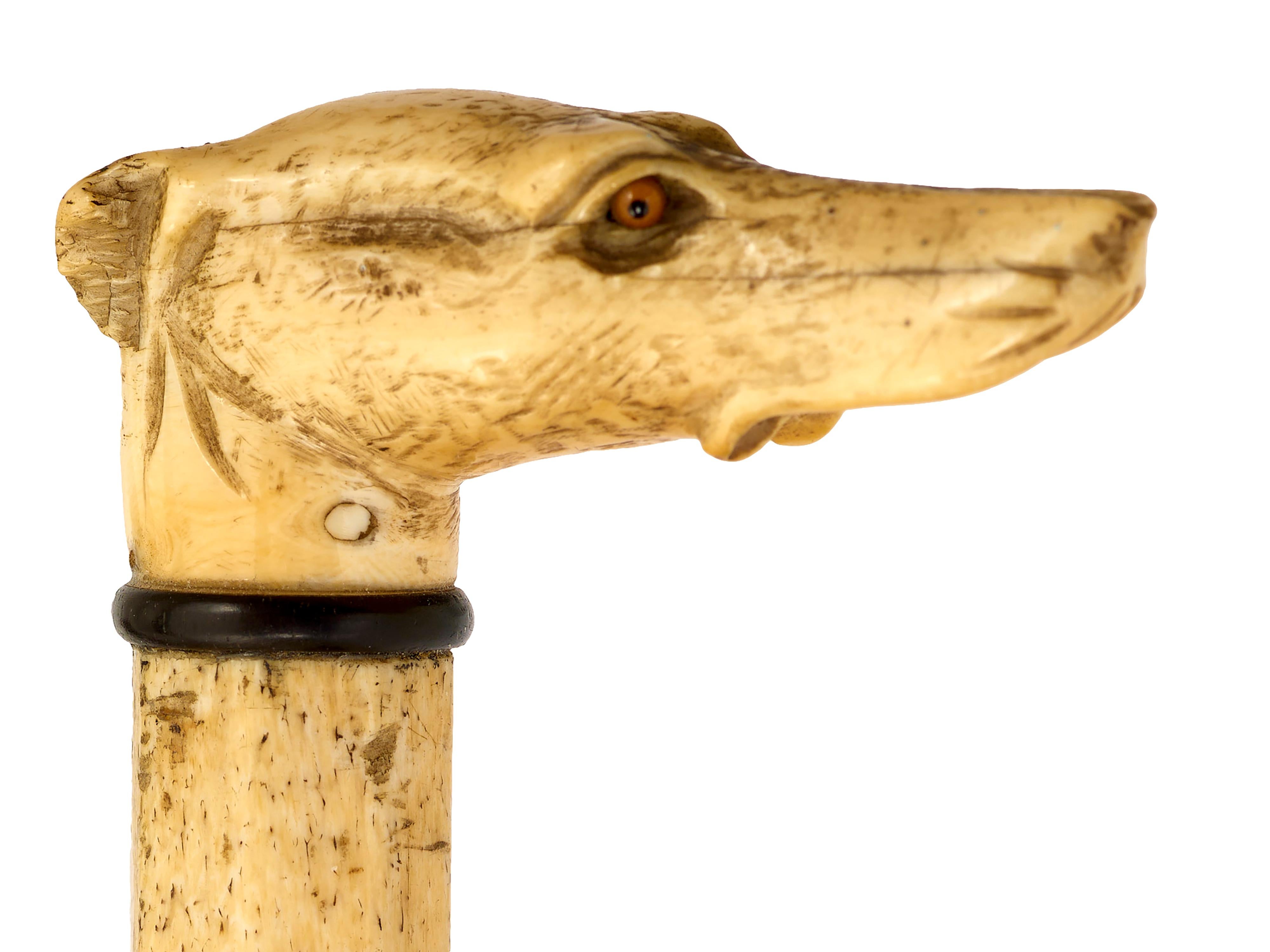 Whalebone walking cane with greyhound top.
Glass eyes, carved greyhound head. All original. L91, d 7, w 2.5cm. Circa 1870. English
