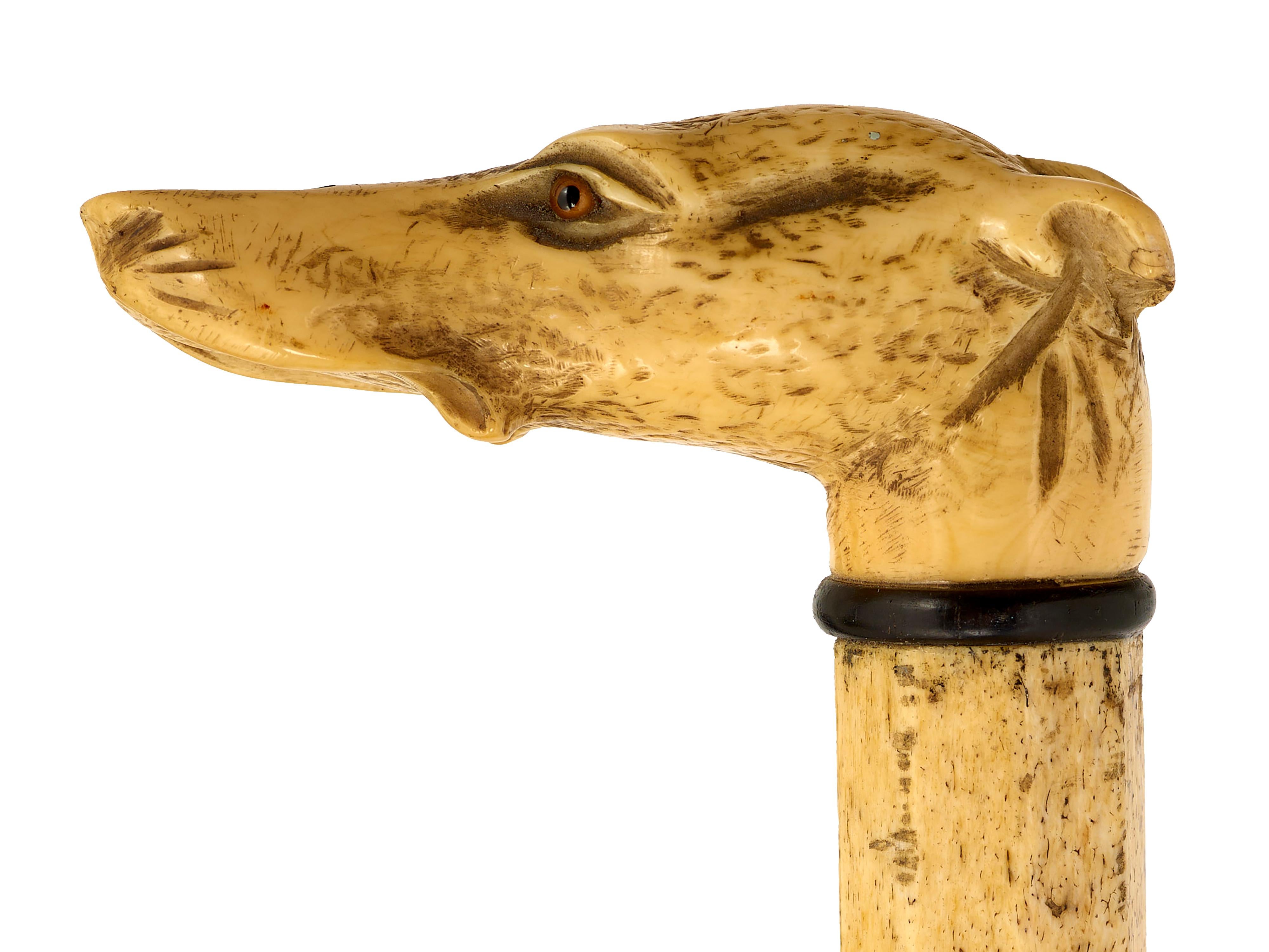 Carved Walking cane with greyhound top  carved in whalebone For Sale