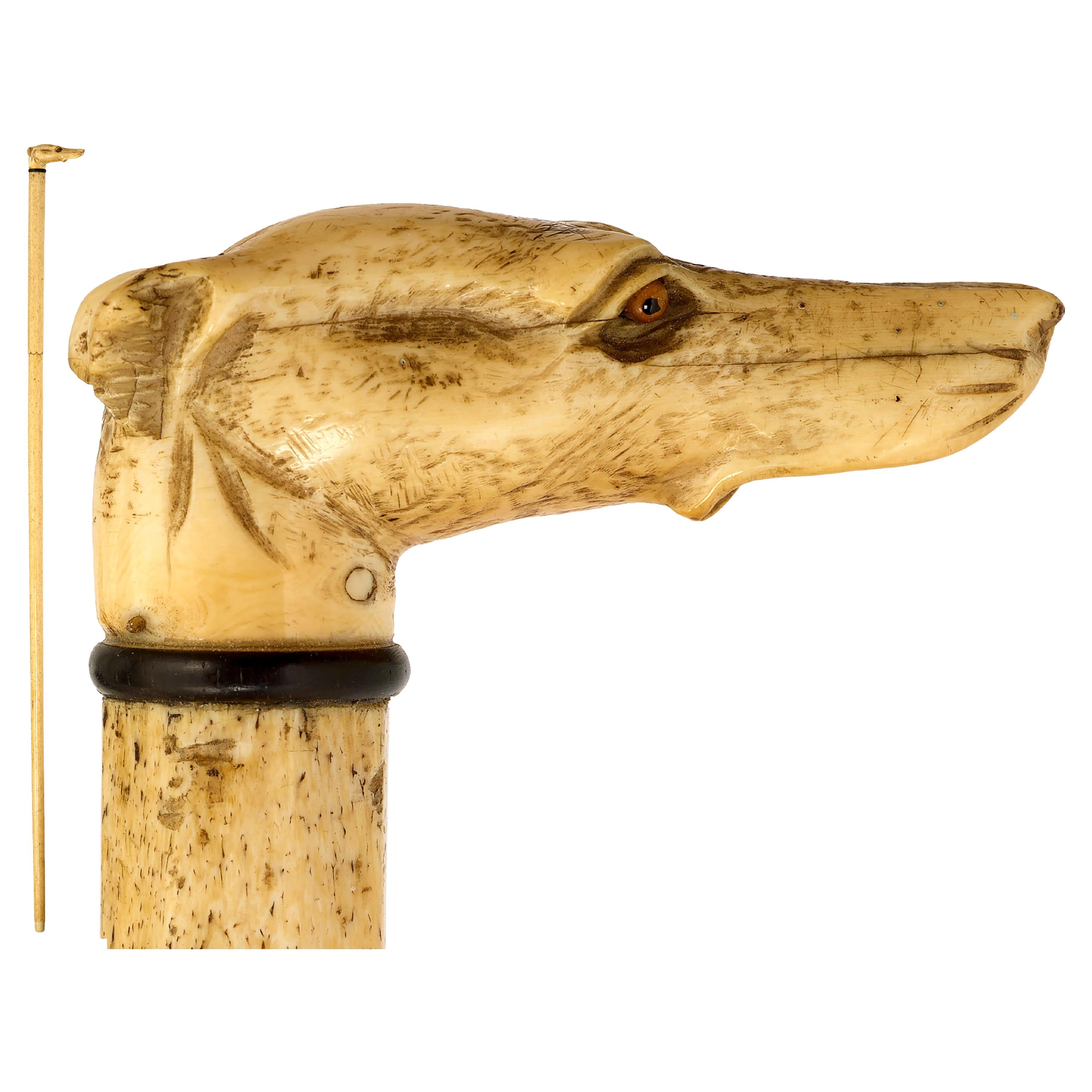 Walking cane with greyhound top  carved in whalebone For Sale