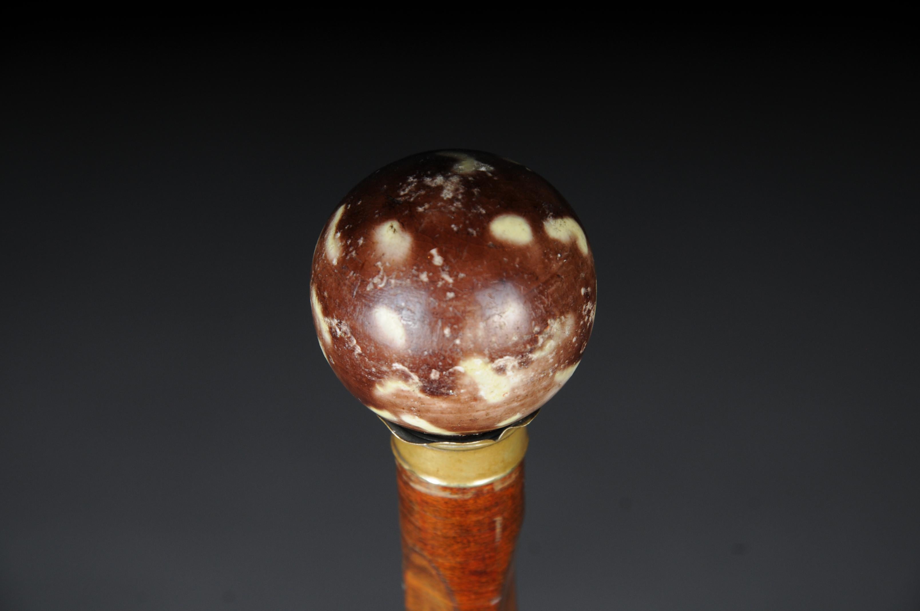 20th Century Walking Stick / Cane, Germany with Around 1910 For Sale