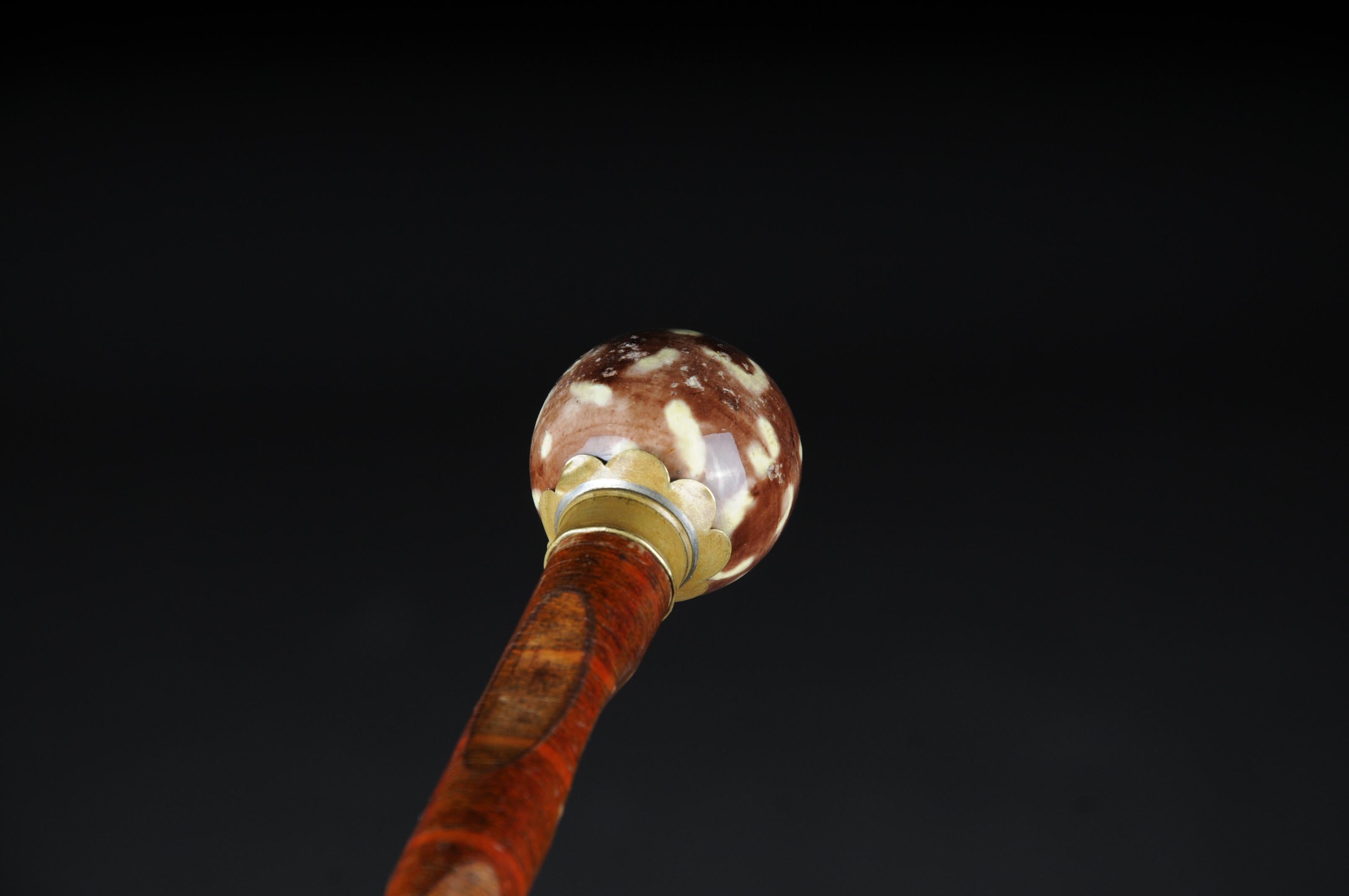 Walking Stick / Cane, Germany with Around 1910 For Sale 2