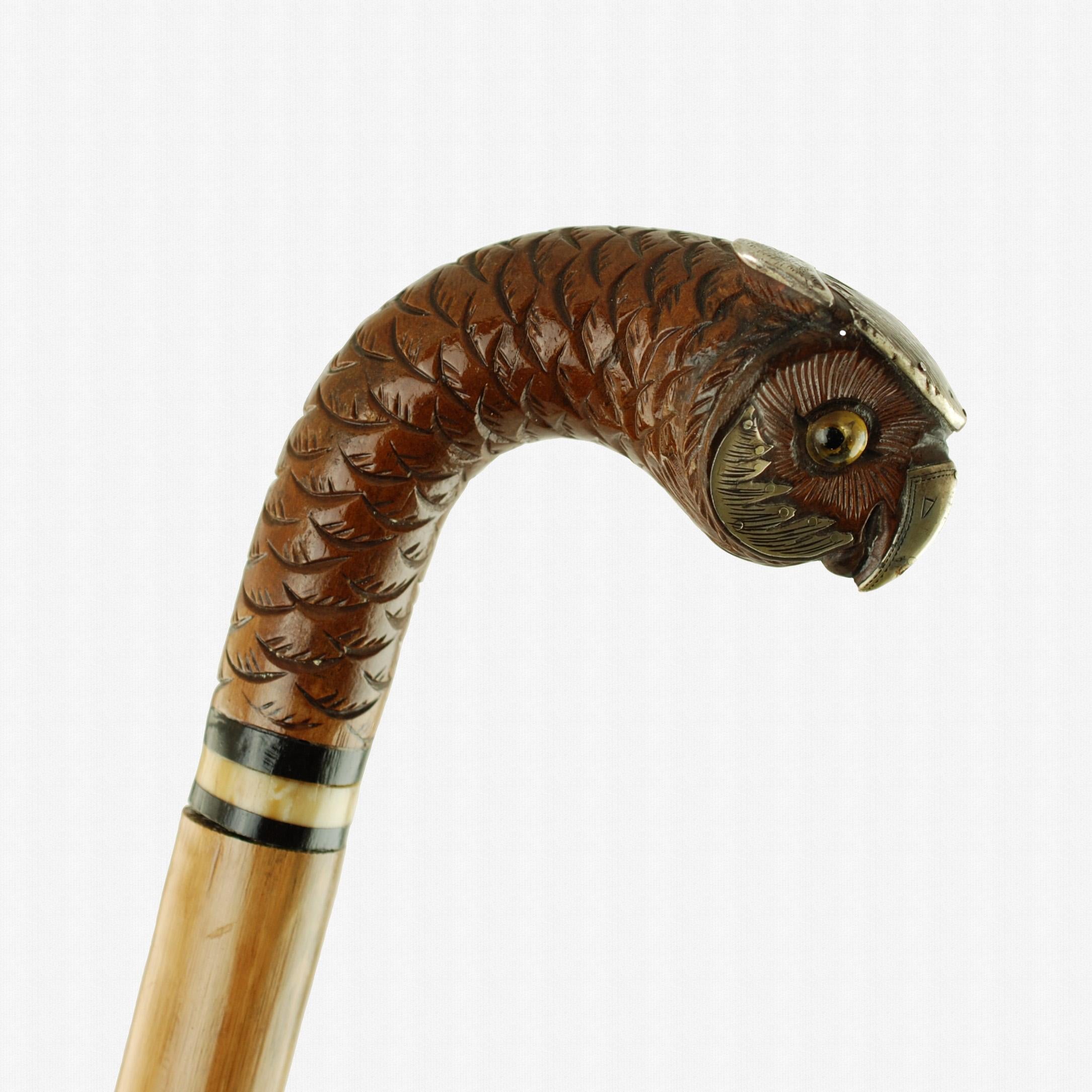 Edwardian Walking Stick Carved Wood Owl Head Handle Bearing Glass Eyes and Silver Accents