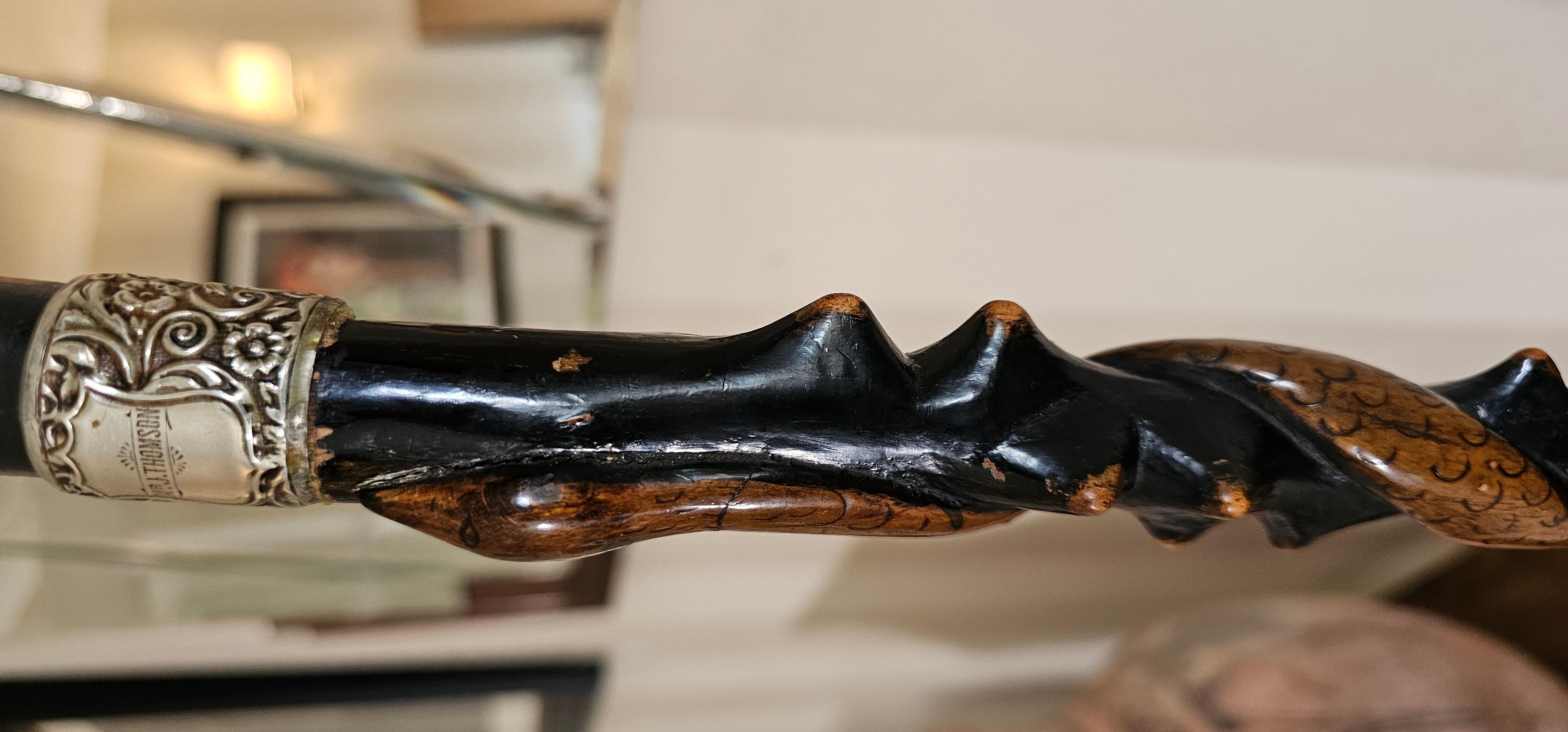 Intagliato Walking stick in vendita