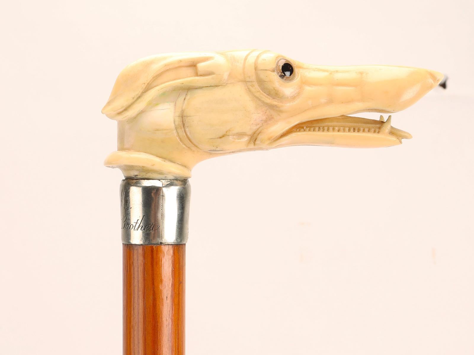 American Walking stick ivory knob with greyhound head, United States 1890.  For Sale
