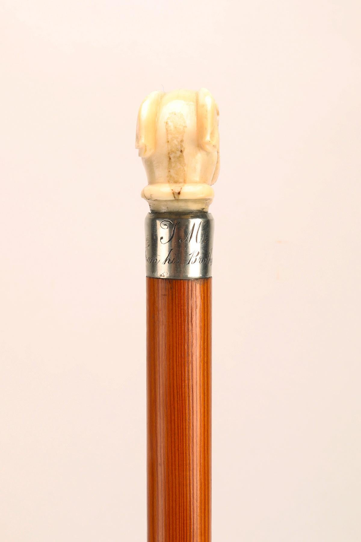 19th Century Walking stick ivory knob with greyhound head, United States 1890.  For Sale