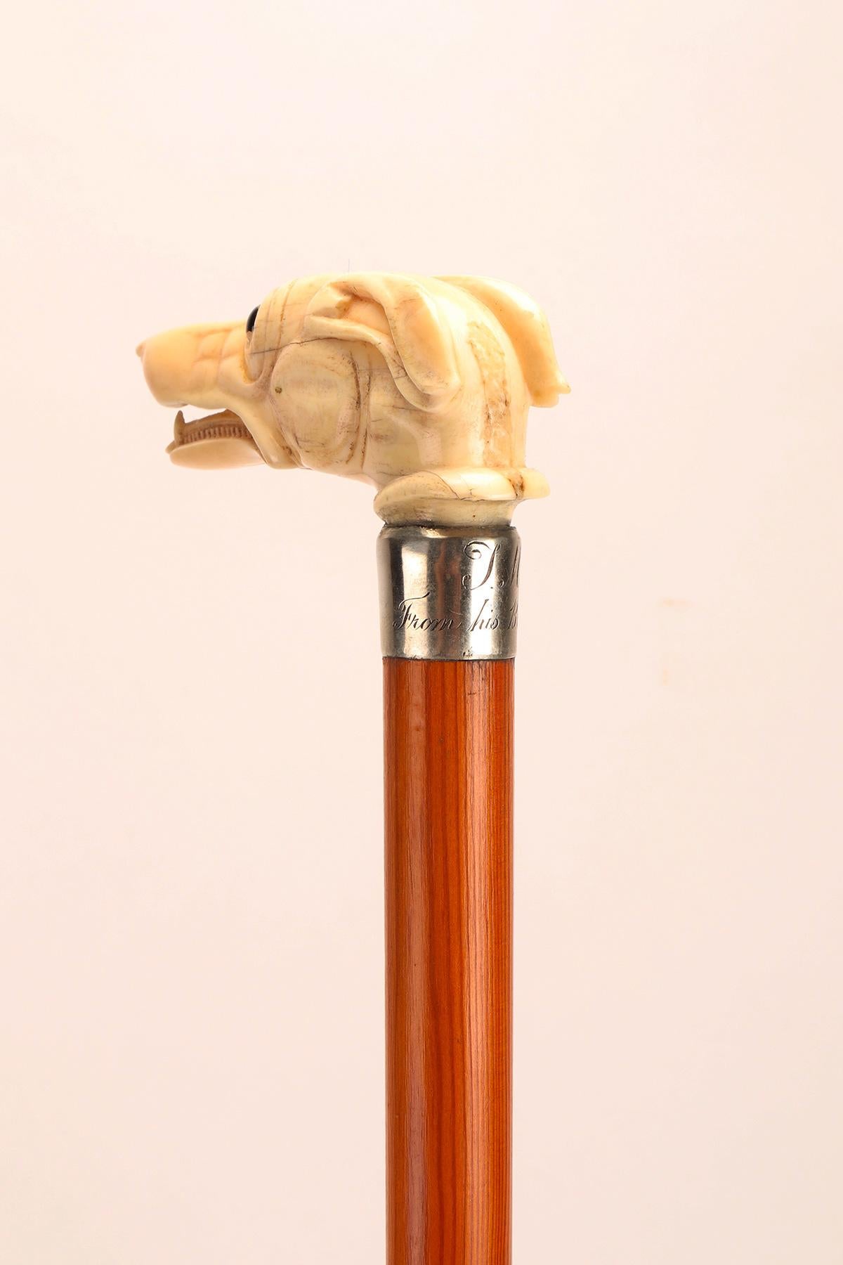 Silver Walking stick ivory knob with greyhound head, United States 1890.  For Sale