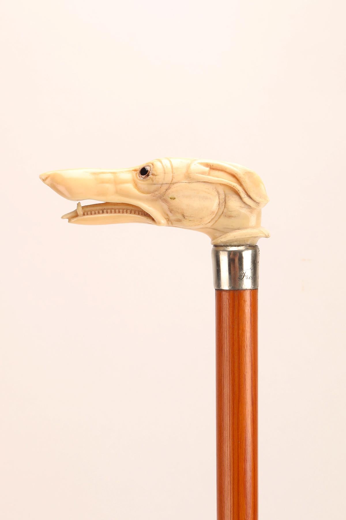 Walking stick ivory knob with greyhound head, United States 1890.  For Sale 1