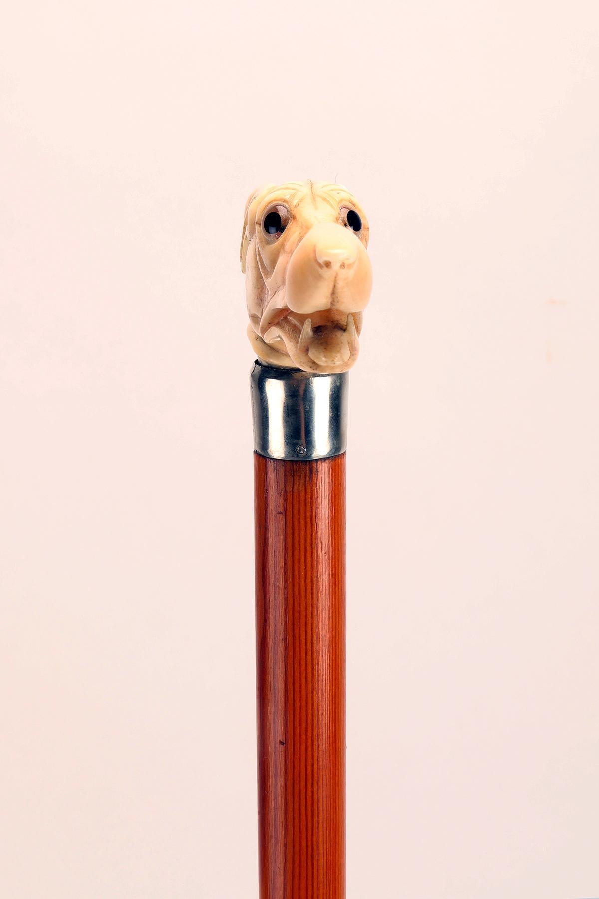 Walking stick ivory knob with greyhound head, United States 1890.  For Sale 2