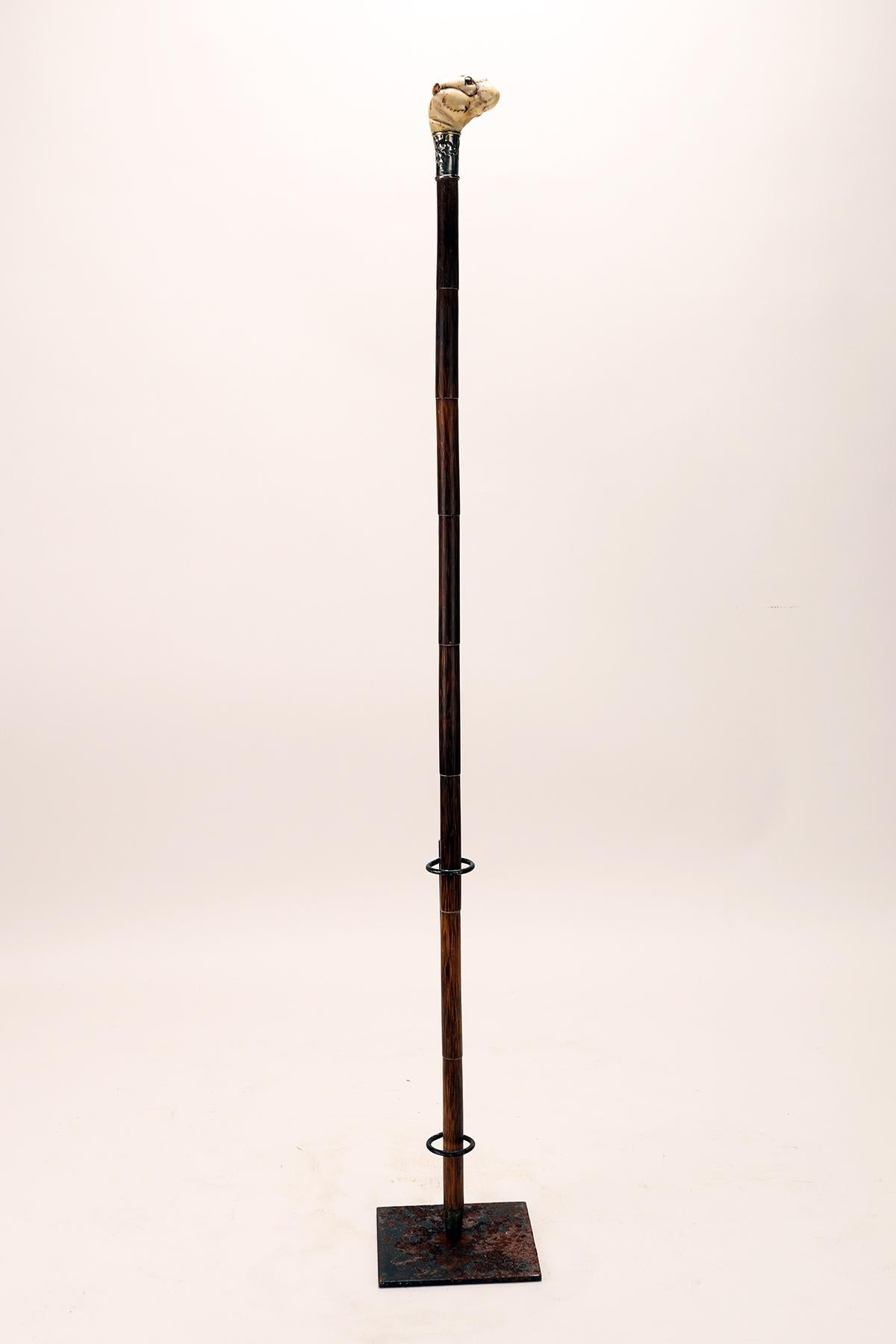Poignée en ivoire avec tête de chien de marche, Allemagne 1890. en vente 4