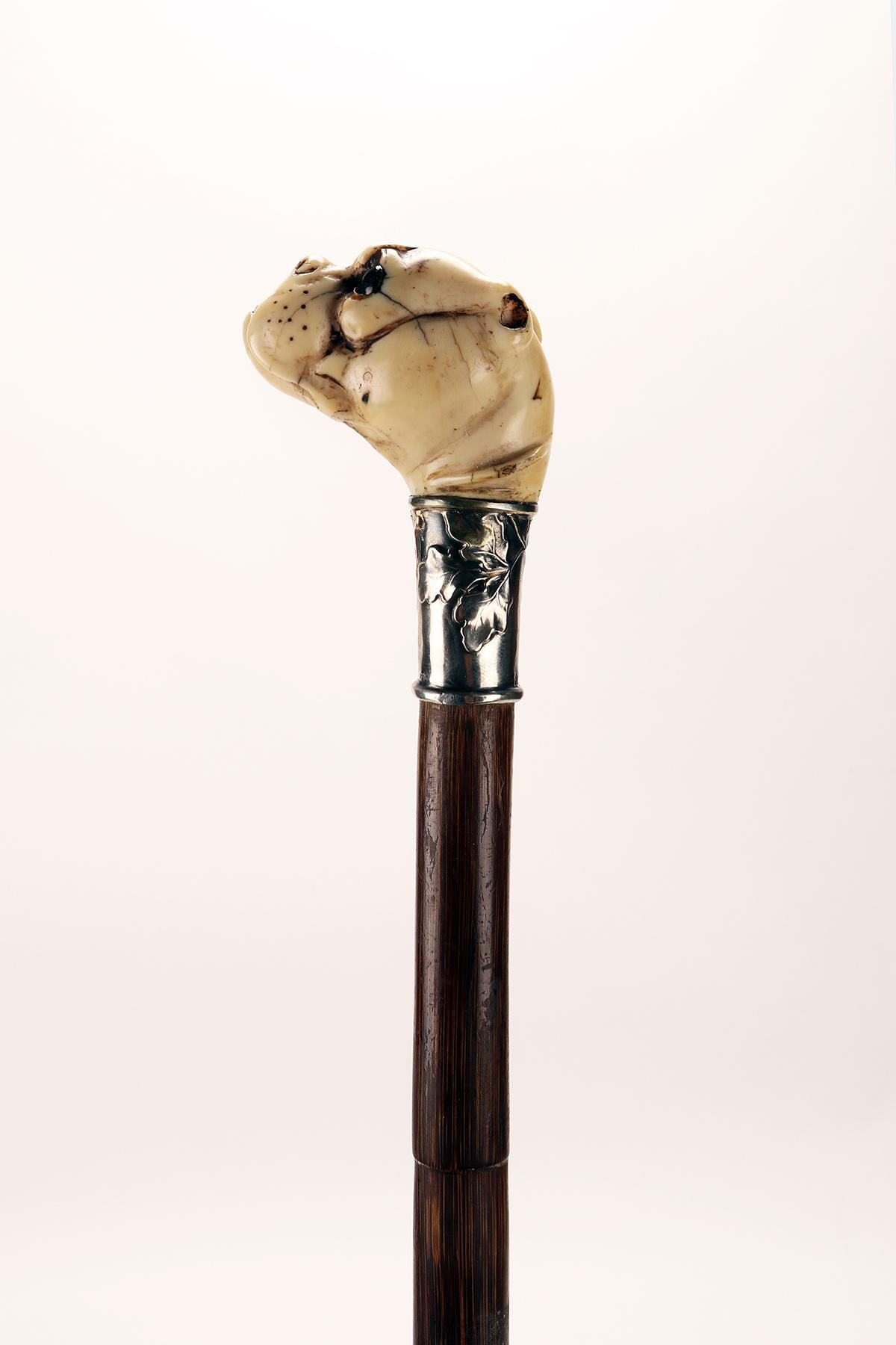 Allemand Poignée en ivoire avec tête de chien de marche, Allemagne 1890. en vente