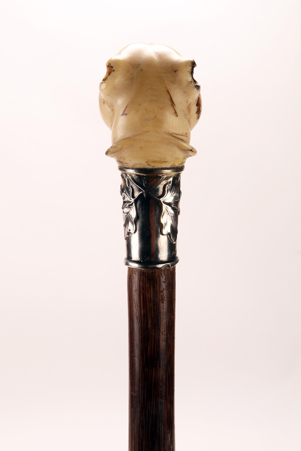 XIXe siècle Poignée en ivoire avec tête de chien de marche, Allemagne 1890. en vente