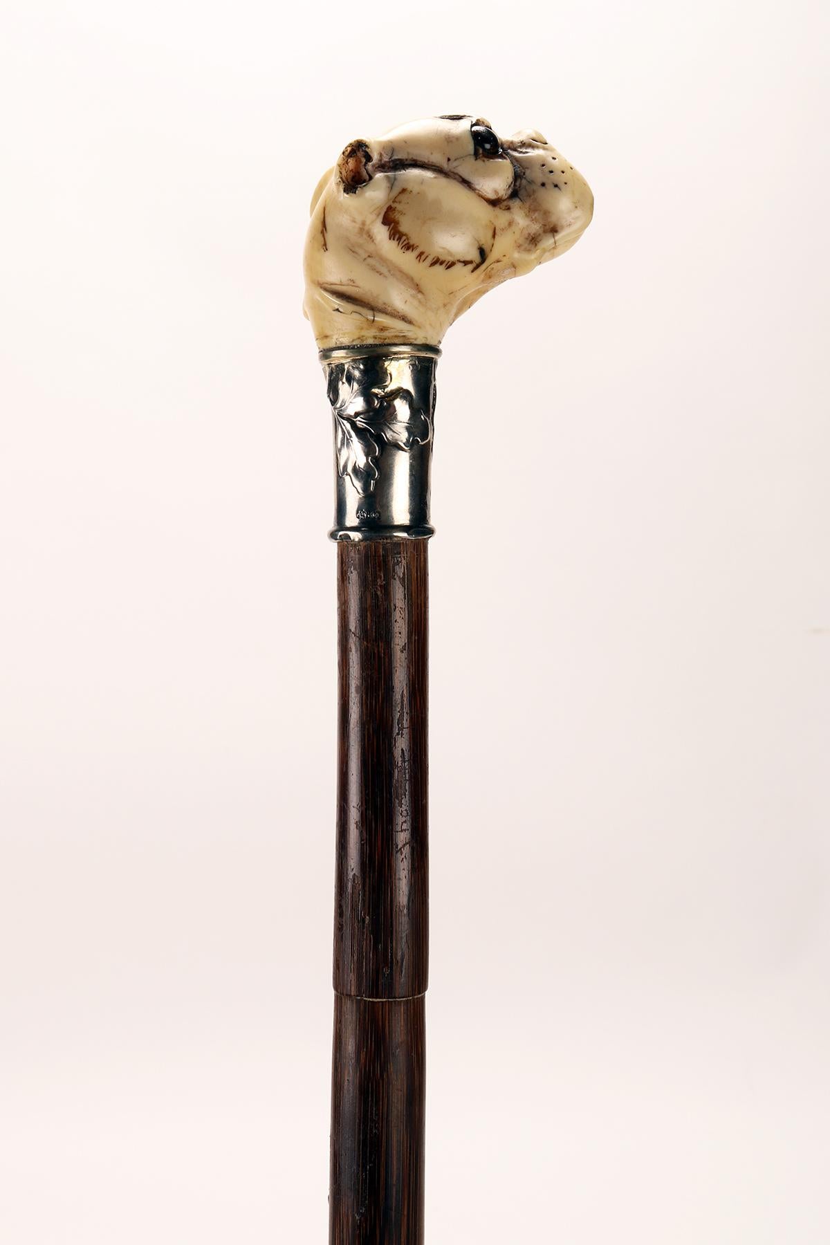 Poignée en ivoire avec tête de chien de marche, Allemagne 1890. en vente 3