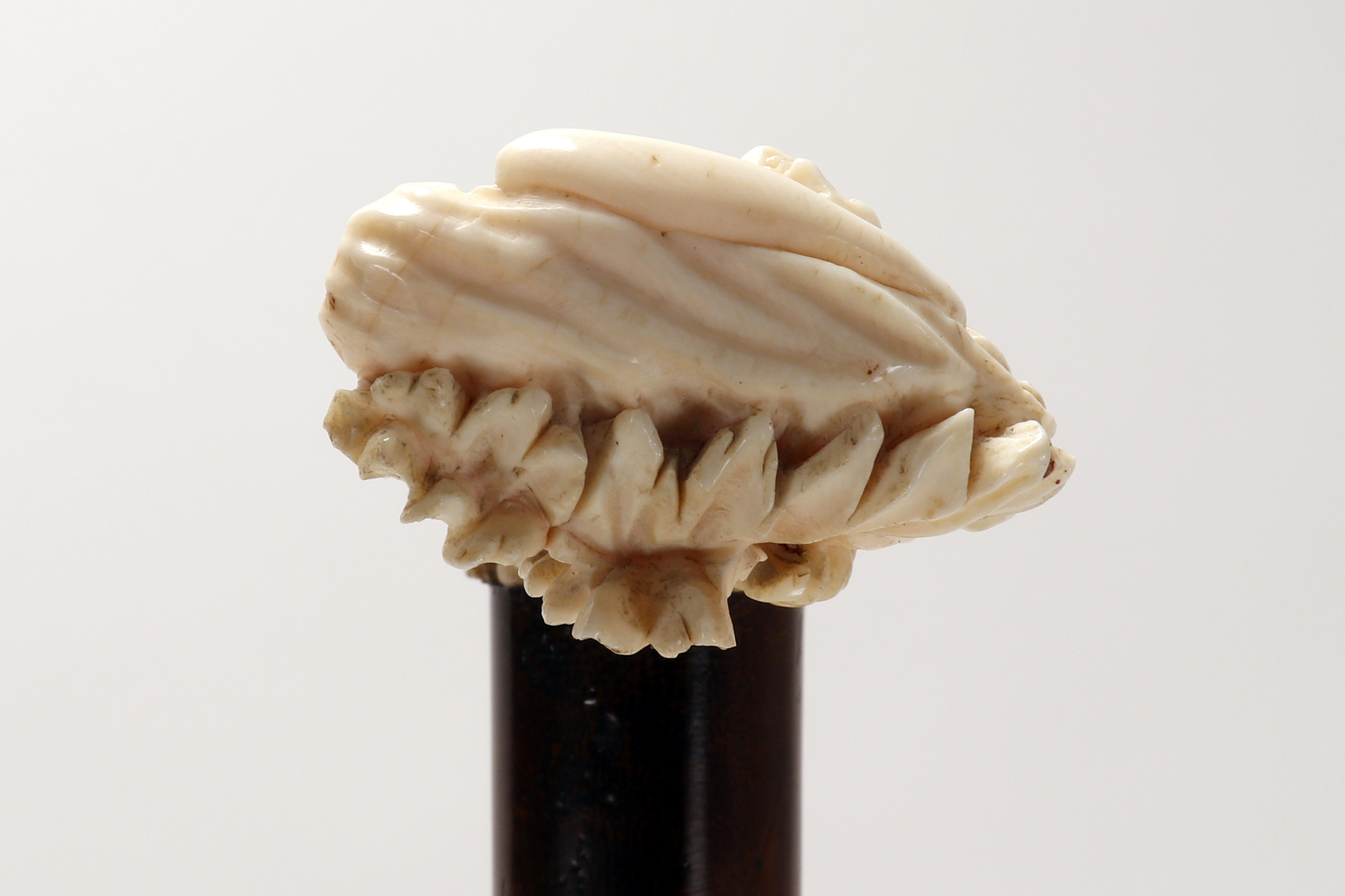 Spazierstock, großer geschnitzter Elfenbeingriff von Opstal, Flandern Mitte des 17. Jahrhunderts. im Angebot 5