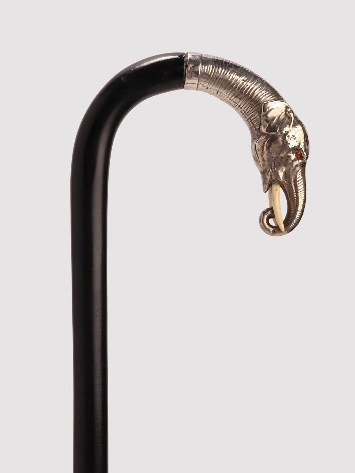 Allemand Walking stick, poignée en argent représentant une tête d'éléphant, Allemagne 1890. en vente
