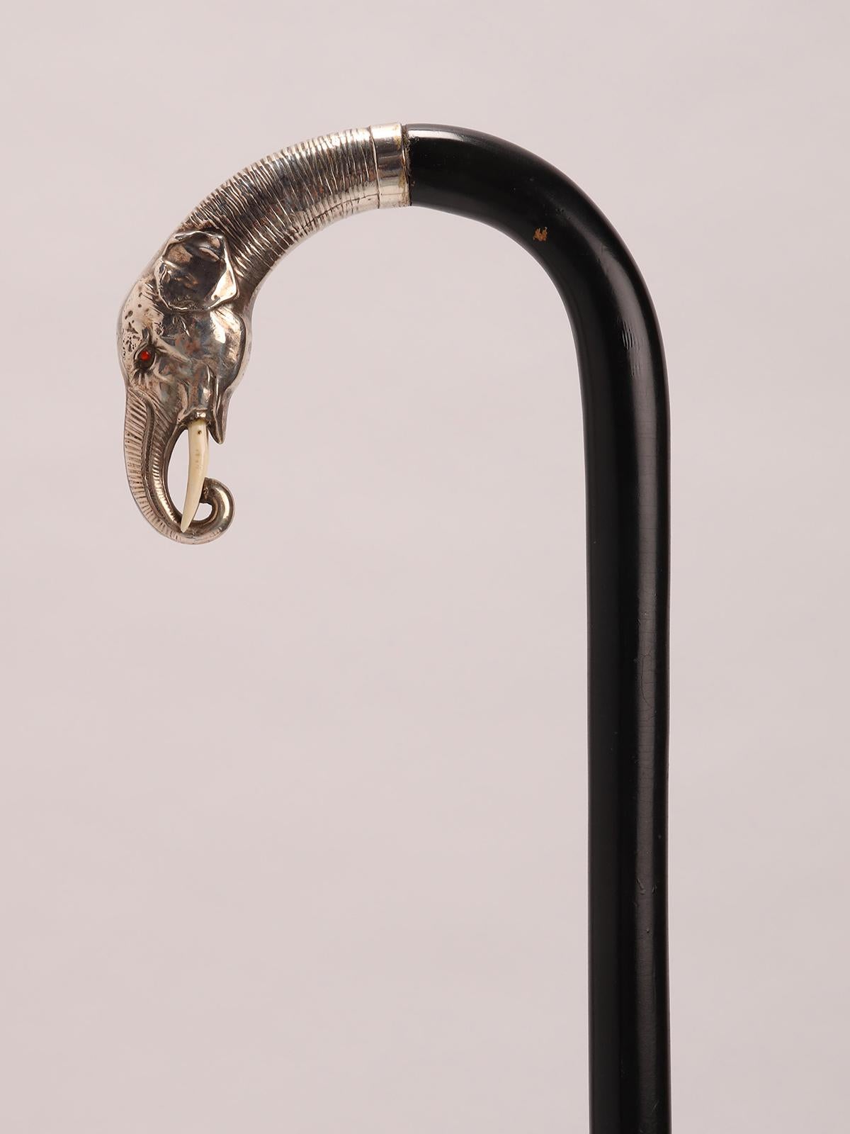 XIXe siècle Walking stick, poignée en argent représentant une tête d'éléphant, Allemagne 1890. en vente
