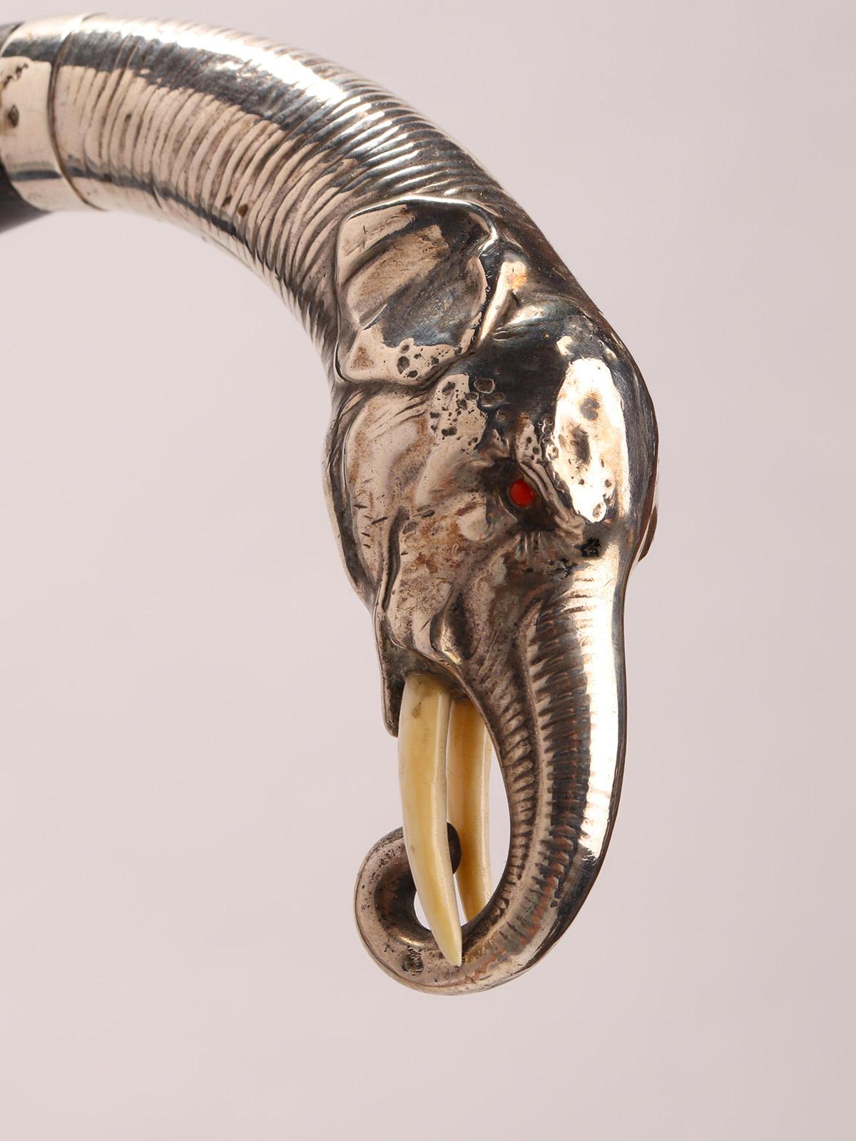 Walking stick, poignée en argent représentant une tête d'éléphant, Allemagne 1890. en vente 1