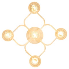 Wall and Ceiling Lamp by Gaetano Sciolari, Leola