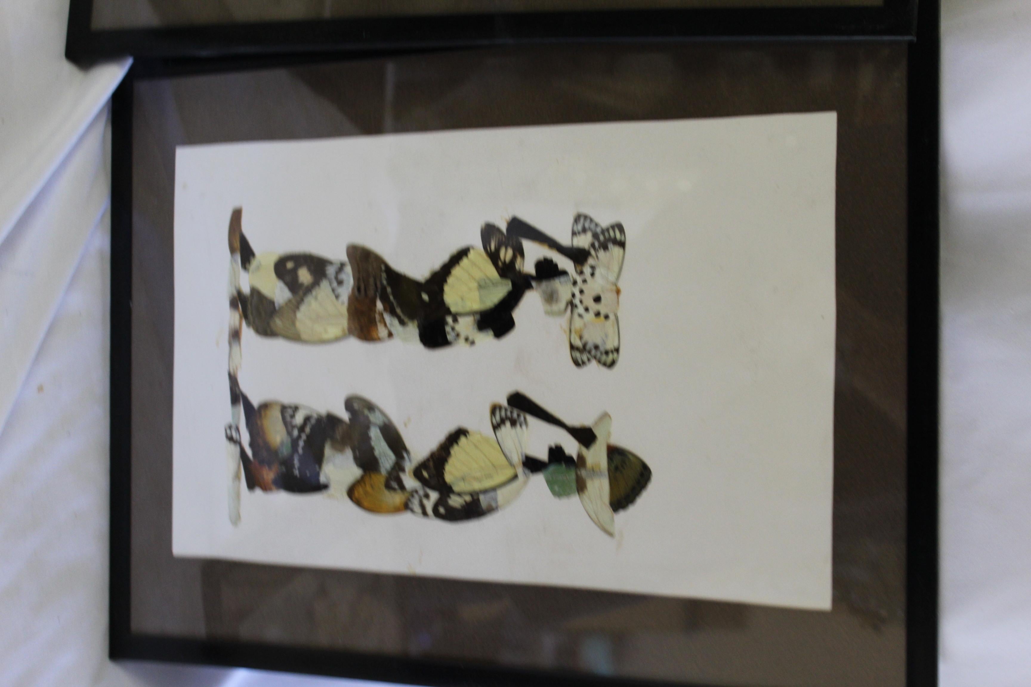 Organic Material Wall Art Butterfly's Frames Set of 4