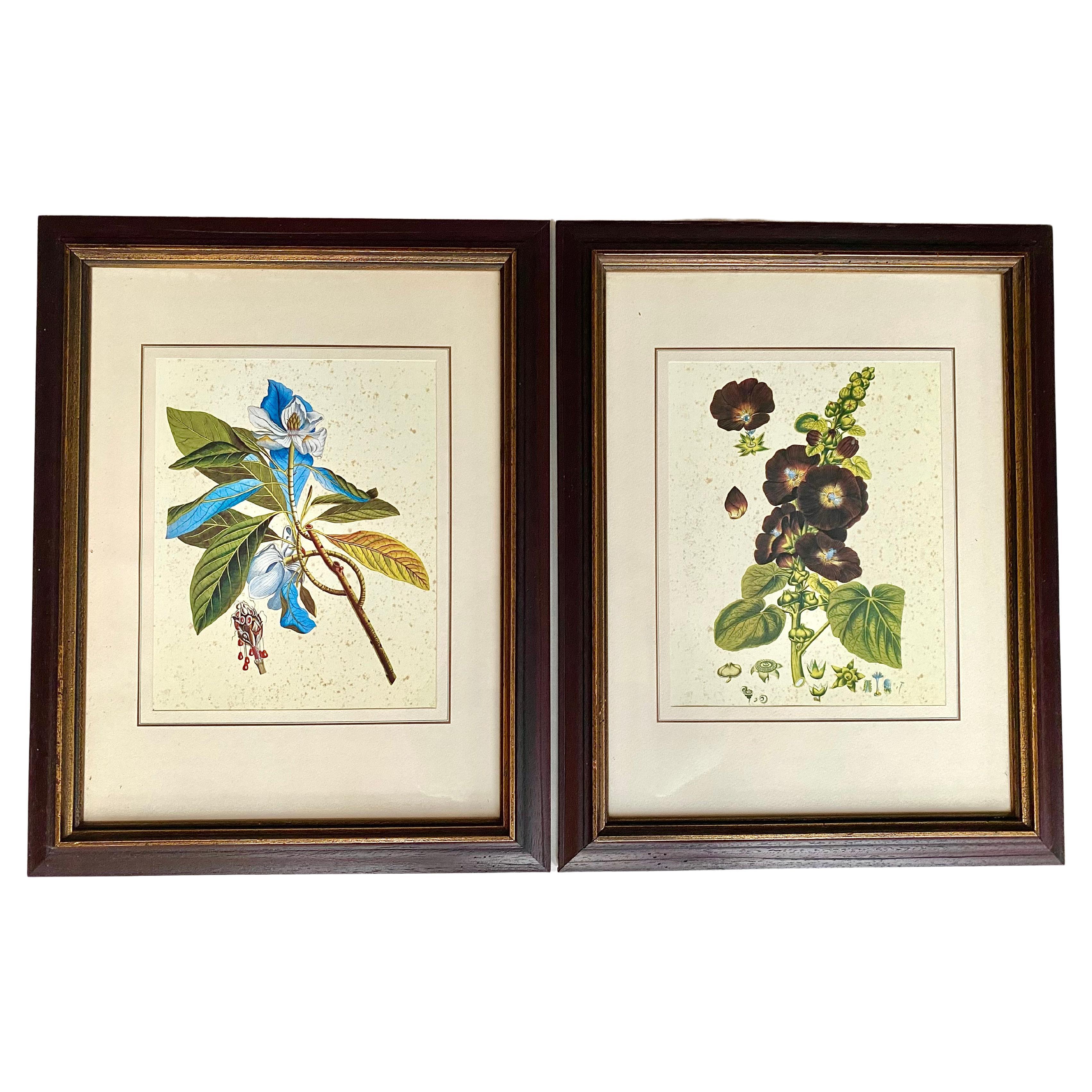 Wall Art Set Of 2 Vintage Nature Prints, Luxembourg 1970s