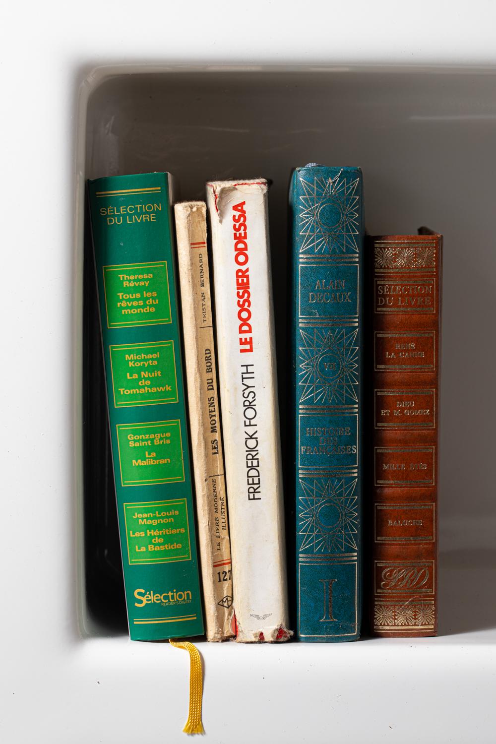 Plastic Wall Bookcase in White Molded Propylene, Editions Meurop, France, 1970 For Sale