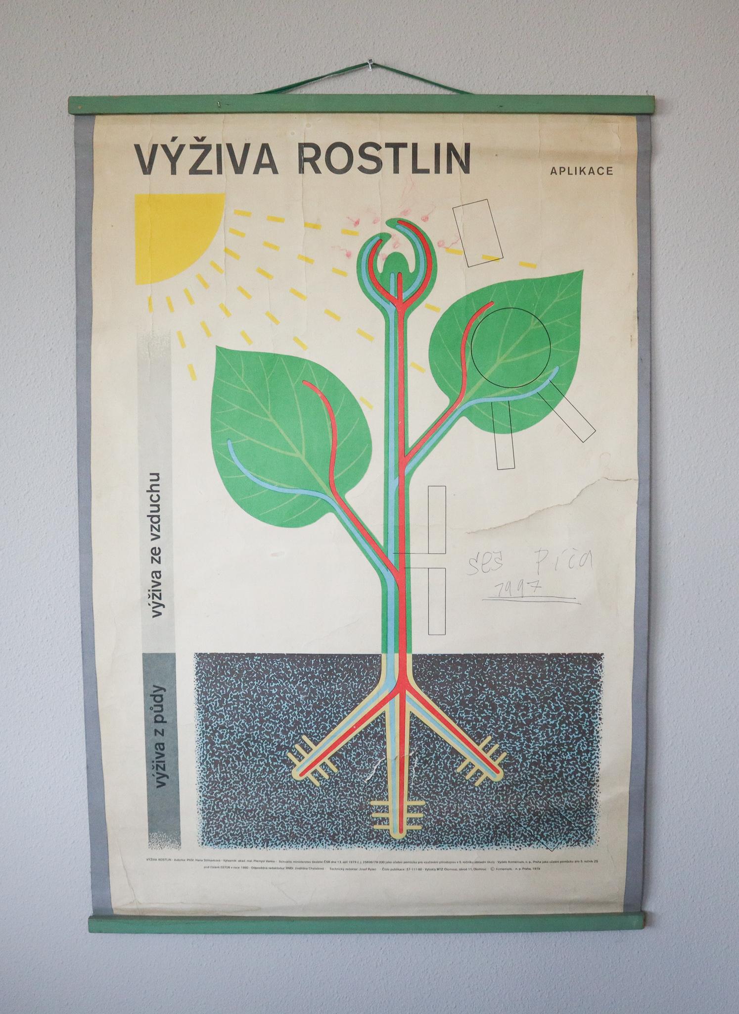 Mid-Century Modern Wall Chart 