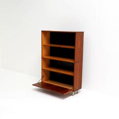 Wall Cupboard with Fallen Front by Cees Braakman for Pastoe