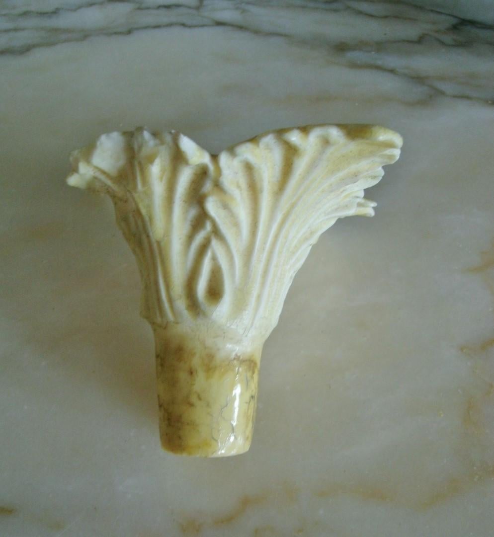 Composition Wall Decorative Fountain Dolphin and Shell Sculpture on Carved Oak Panel For Sale