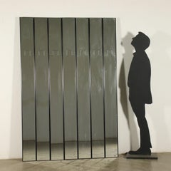 Wall Hanger Mirror Gronda by Luciano Bertoncini for Elco Plastic, 1970s