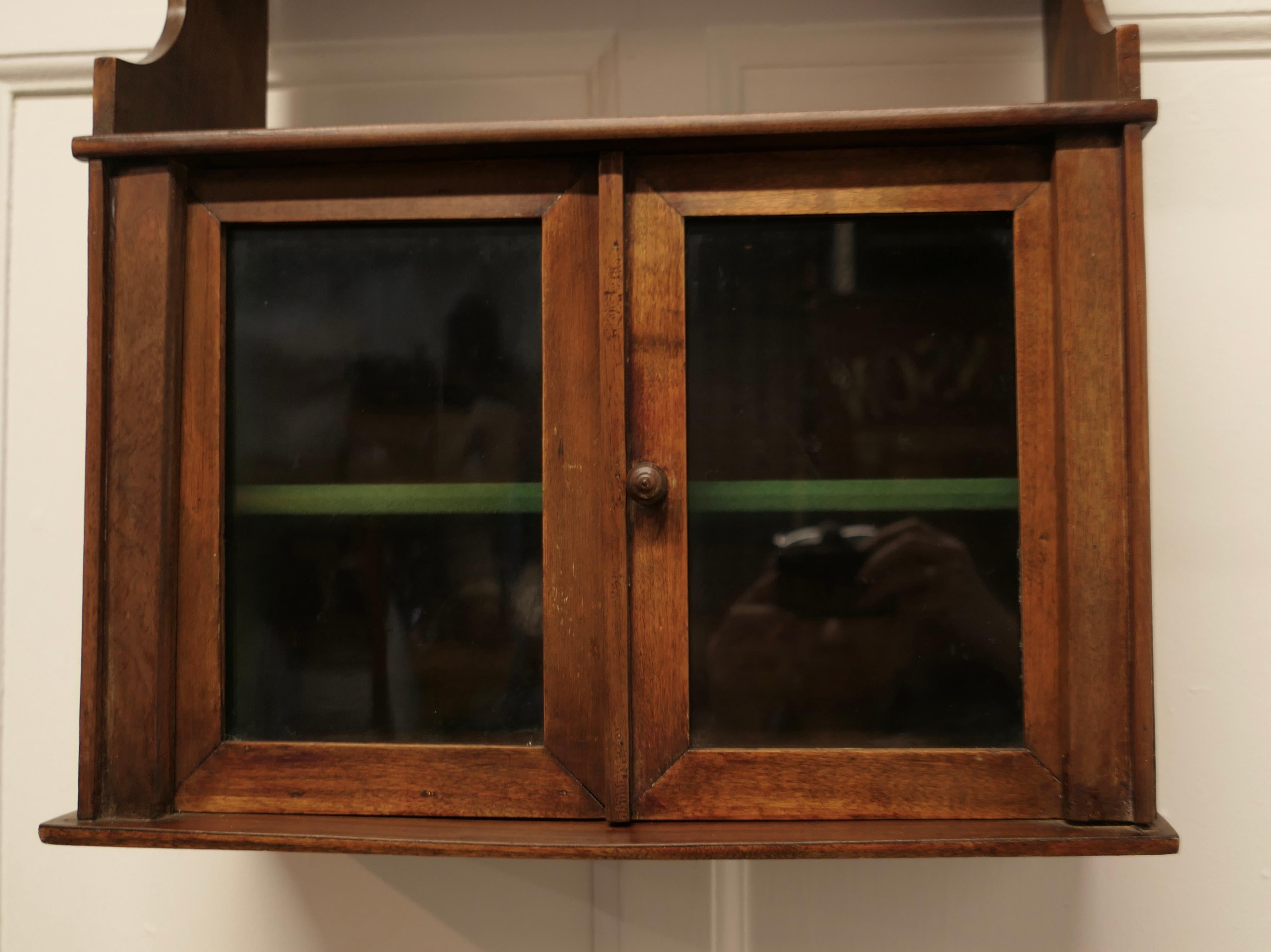 Late 19th Century Wall Hanging Walnut Cloakroom or Bathroom Cupboard For Sale