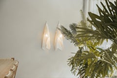 Wall lamp Ingo Maurer Delight
