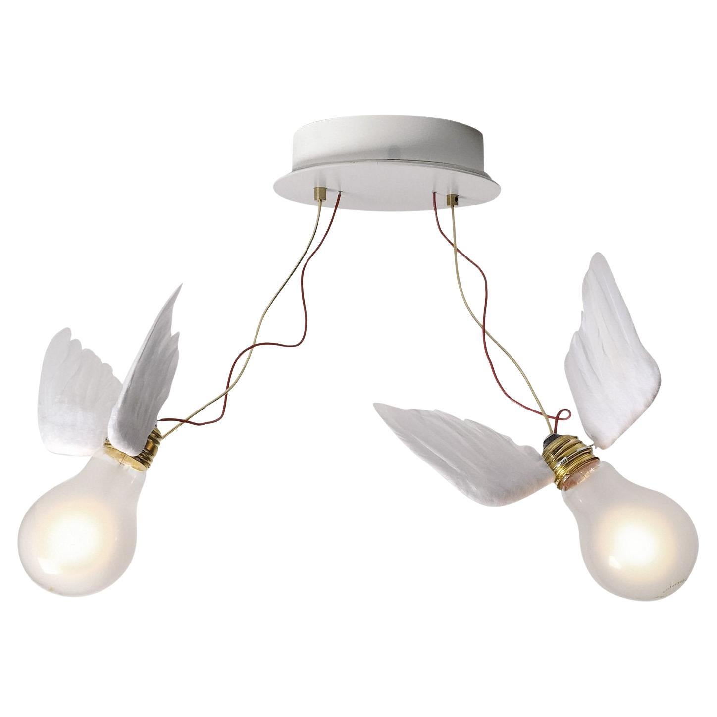 Wall lamp or Ceiling lamp Ingo Maurer Lucellino Doppio