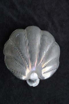 Wall Lamp Sconce in Murano Glass Seguso Iridescent Shell 1940 Italy