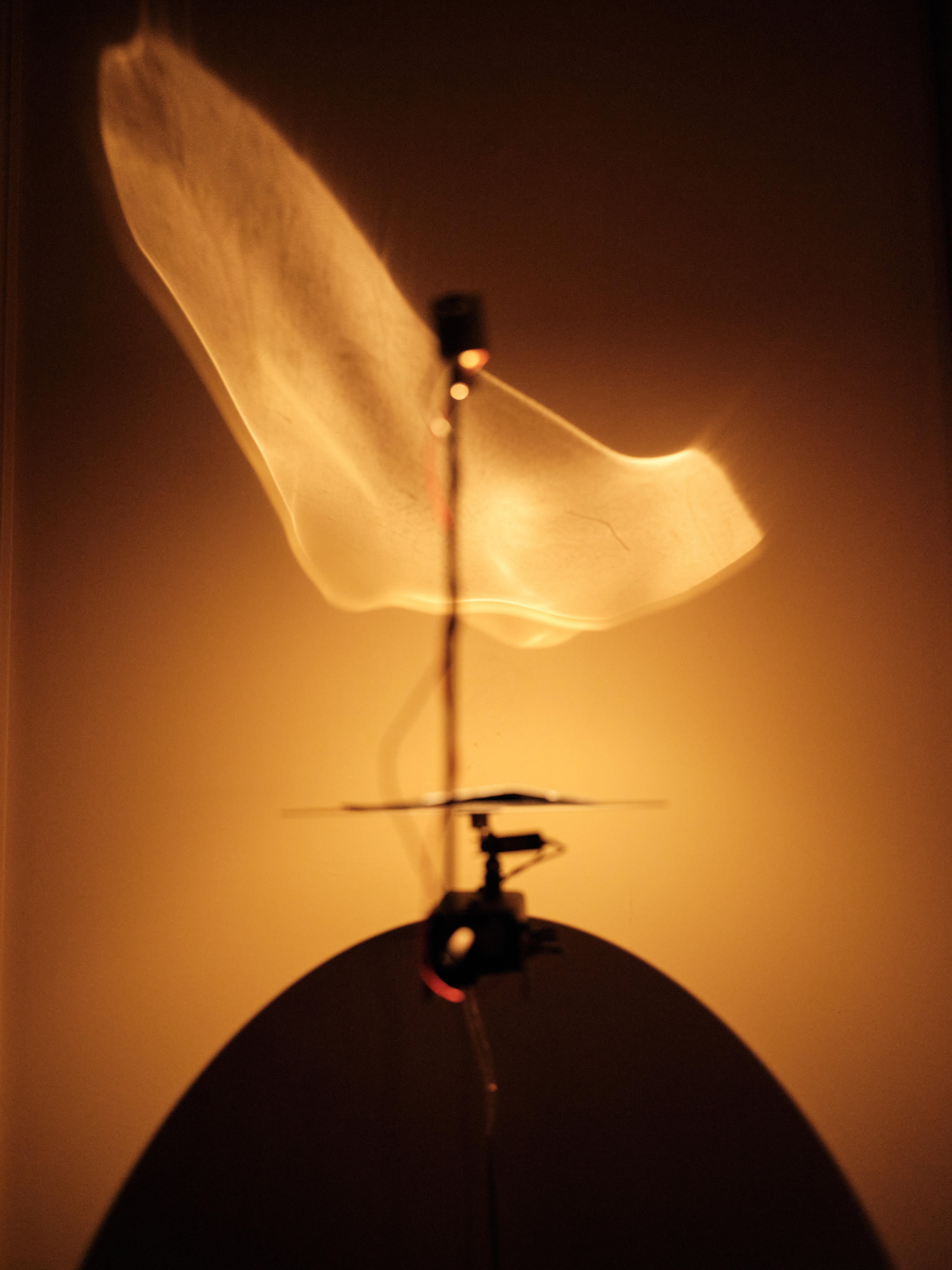 Steel Wall Lamp Small Colorful Contemporary Reflexions Micra by Antoni Arola For Sale