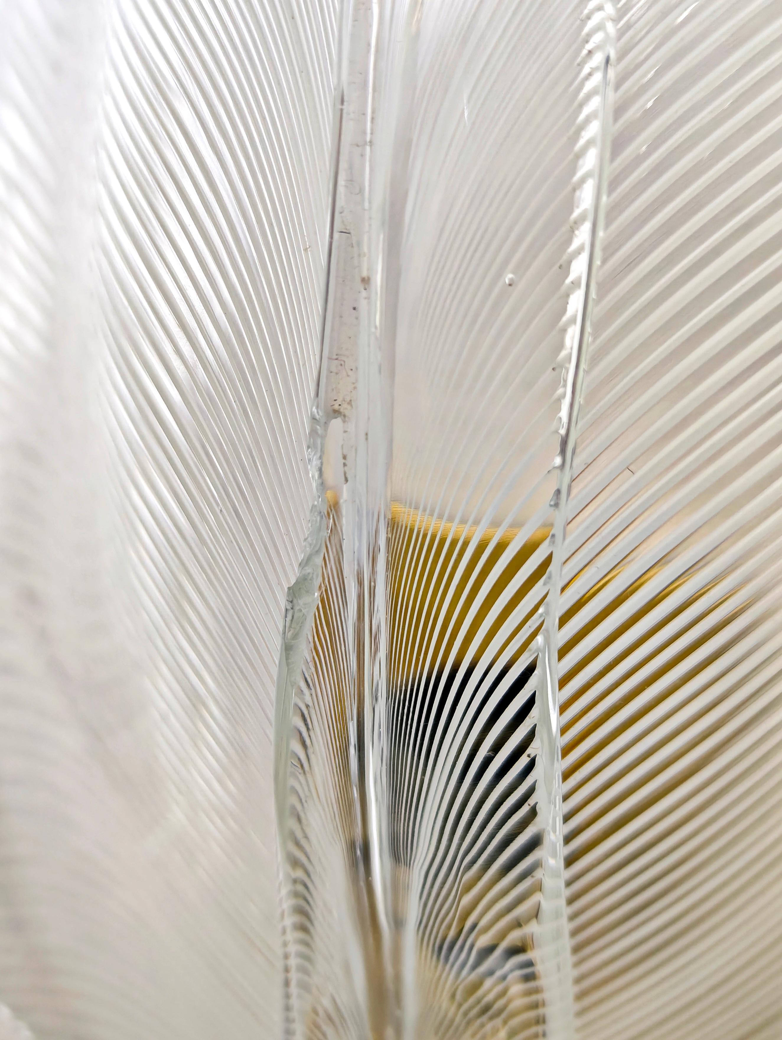 Wall lamp with brass frame and half-filigree blown glass leaf Franco Luce 70s in vendita 4